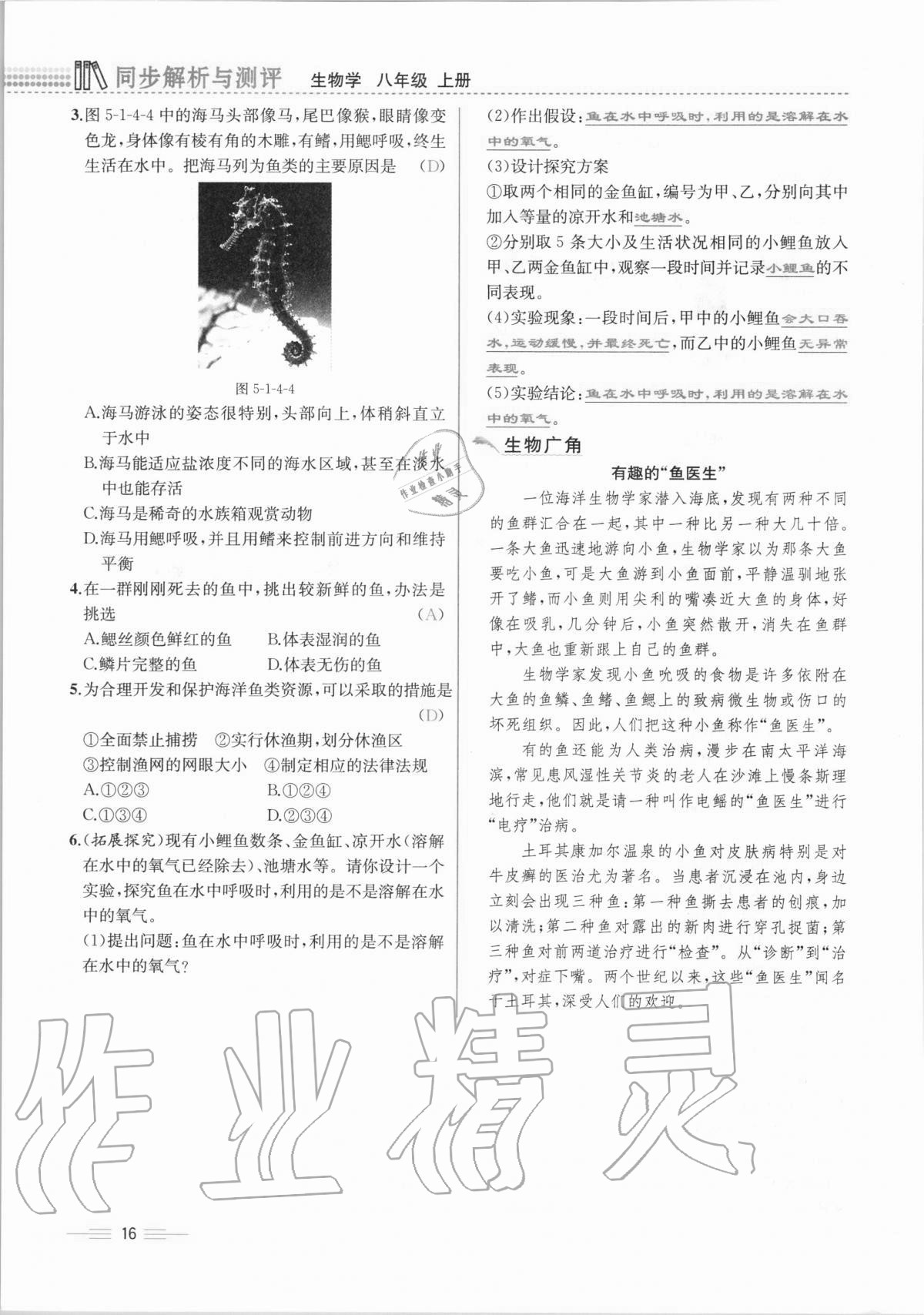 2020年人教金學(xué)典同步解析與測(cè)評(píng)八年級(jí)生物學(xué)上冊(cè)人教版云南專版 第16頁(yè)