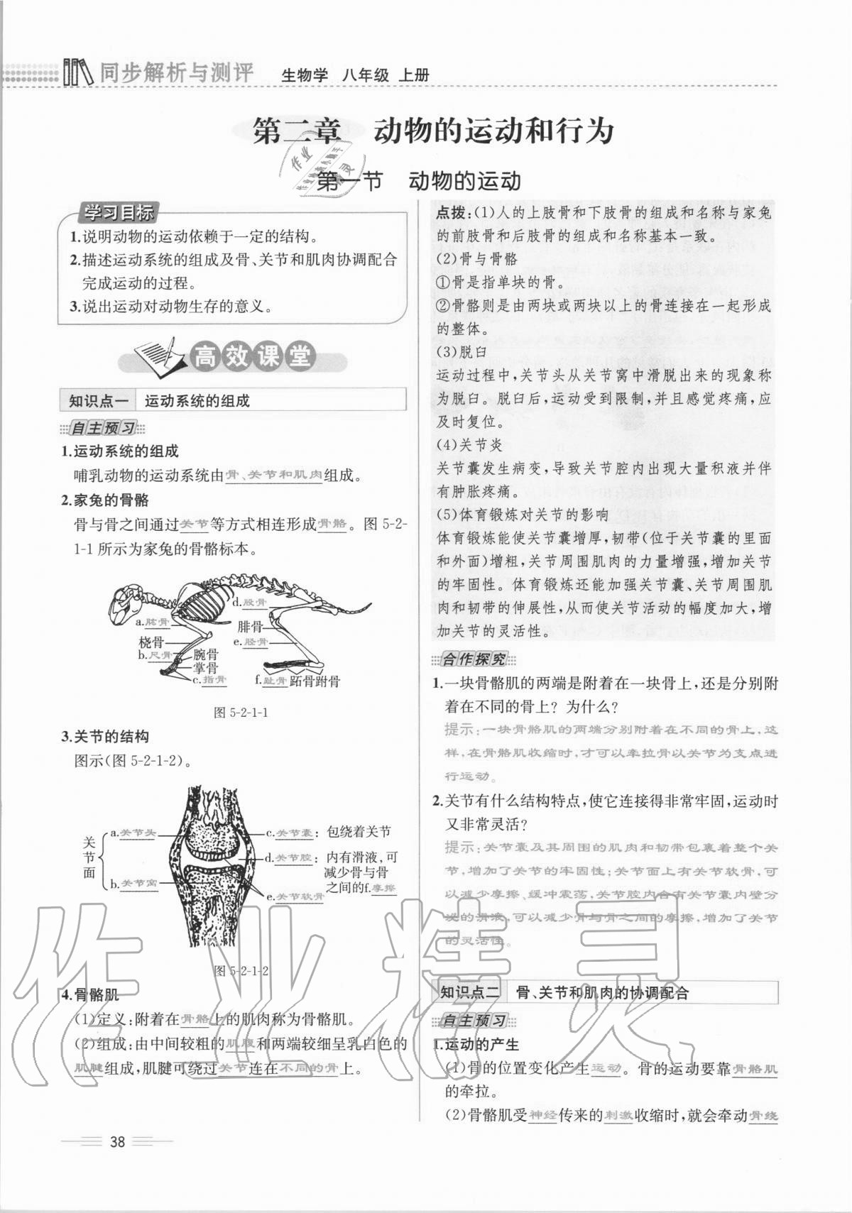 2020年人教金学典同步解析与测评八年级生物学上册人教版云南专版 第38页