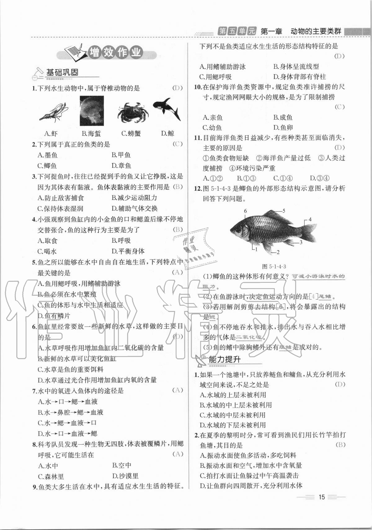 2020年人教金學典同步解析與測評八年級生物學上冊人教版云南專版 第15頁