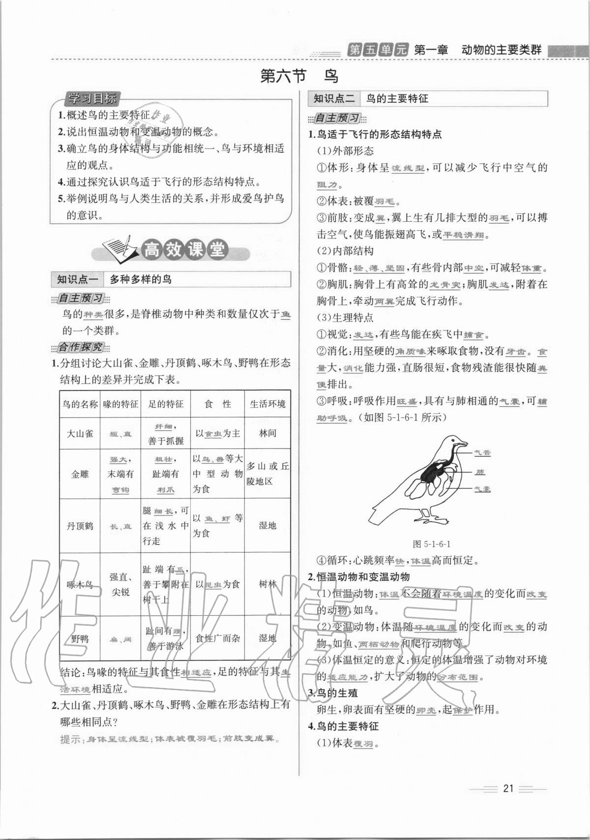 2020年人教金學典同步解析與測評八年級生物學上冊人教版云南專版 第21頁