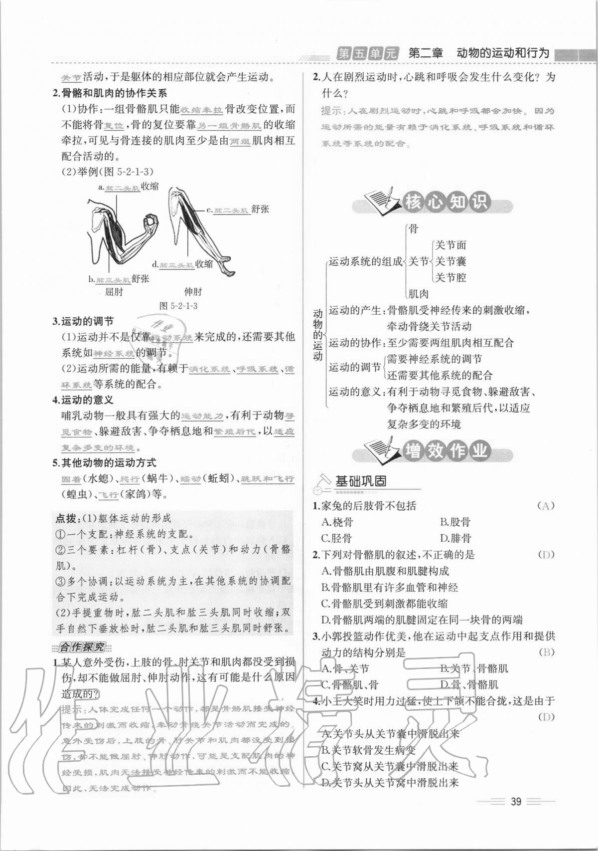 2020年人教金学典同步解析与测评八年级生物学上册人教版云南专版 第39页