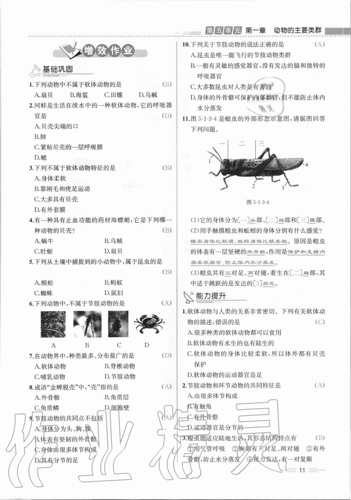 2020年人教金学典同步解析与测评八年级生物学上册人教版云南专版 第11页