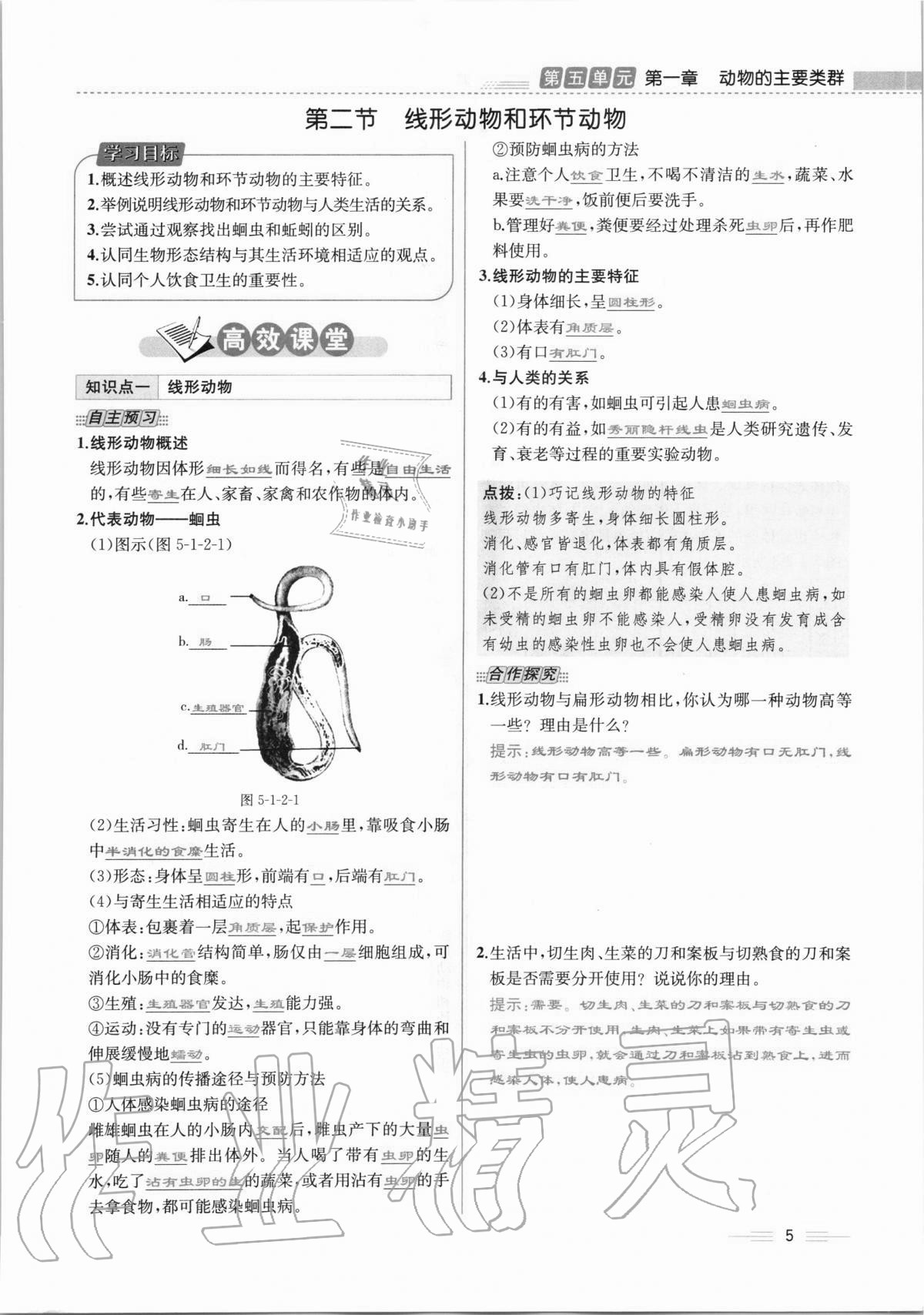 2020年人教金学典同步解析与测评八年级生物学上册人教版云南专版 第5页