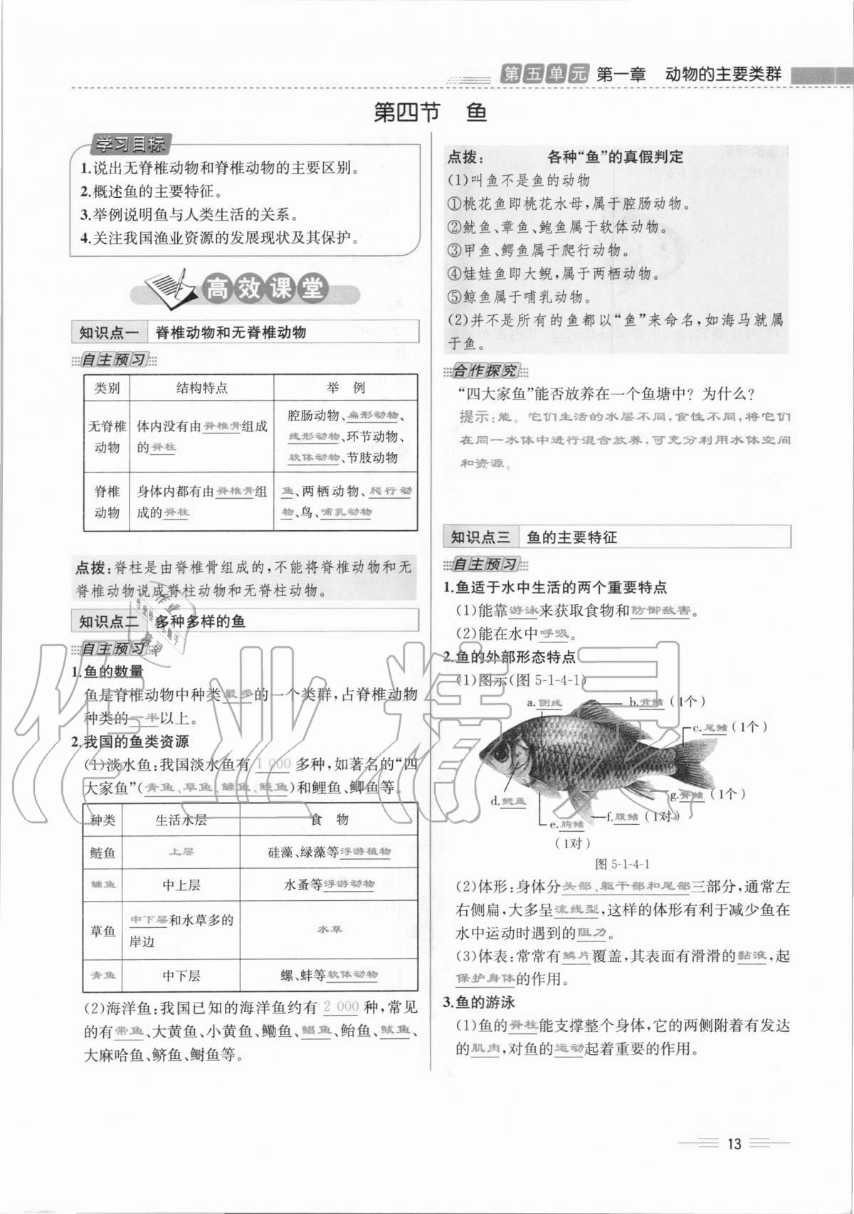 2020年人教金学典同步解析与测评八年级生物学上册人教版云南专版 第13页