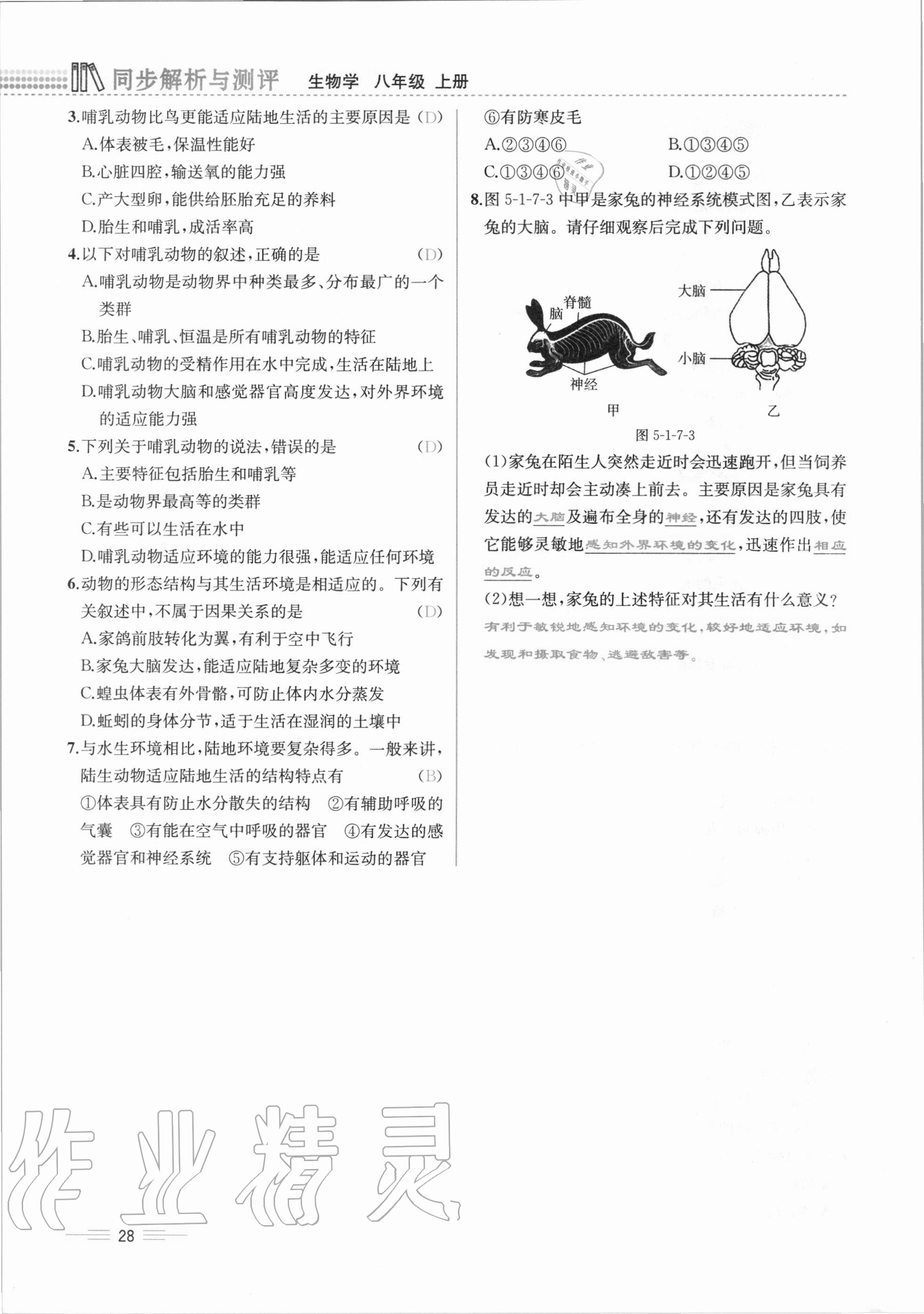 2020年人教金学典同步解析与测评八年级生物学上册人教版云南专版 第28页