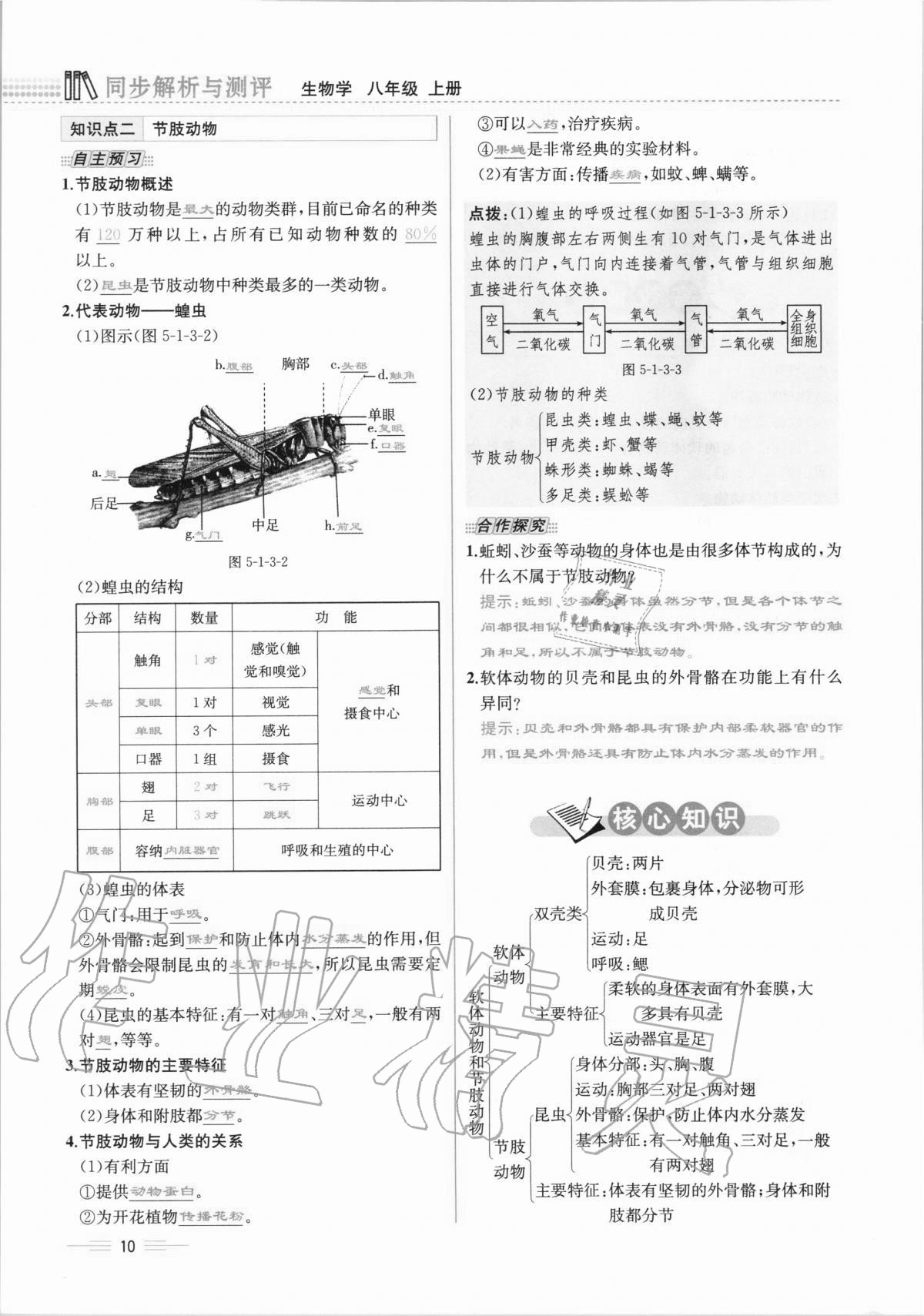 2020年人教金學(xué)典同步解析與測(cè)評(píng)八年級(jí)生物學(xué)上冊(cè)人教版云南專版 第10頁(yè)