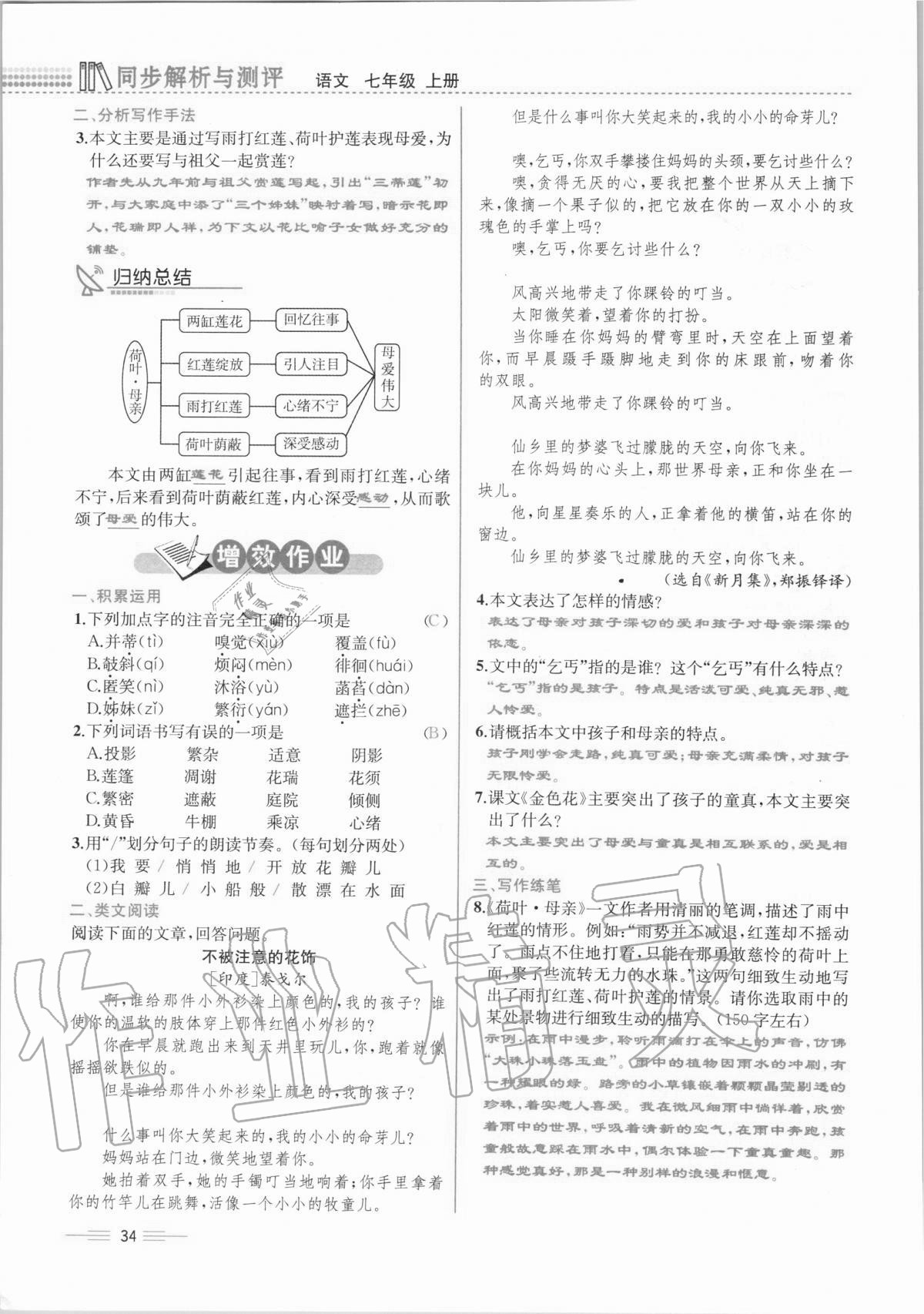 2020年人教金學(xué)典同步解析與測評七年級語文上冊人教版云南專版 第34頁