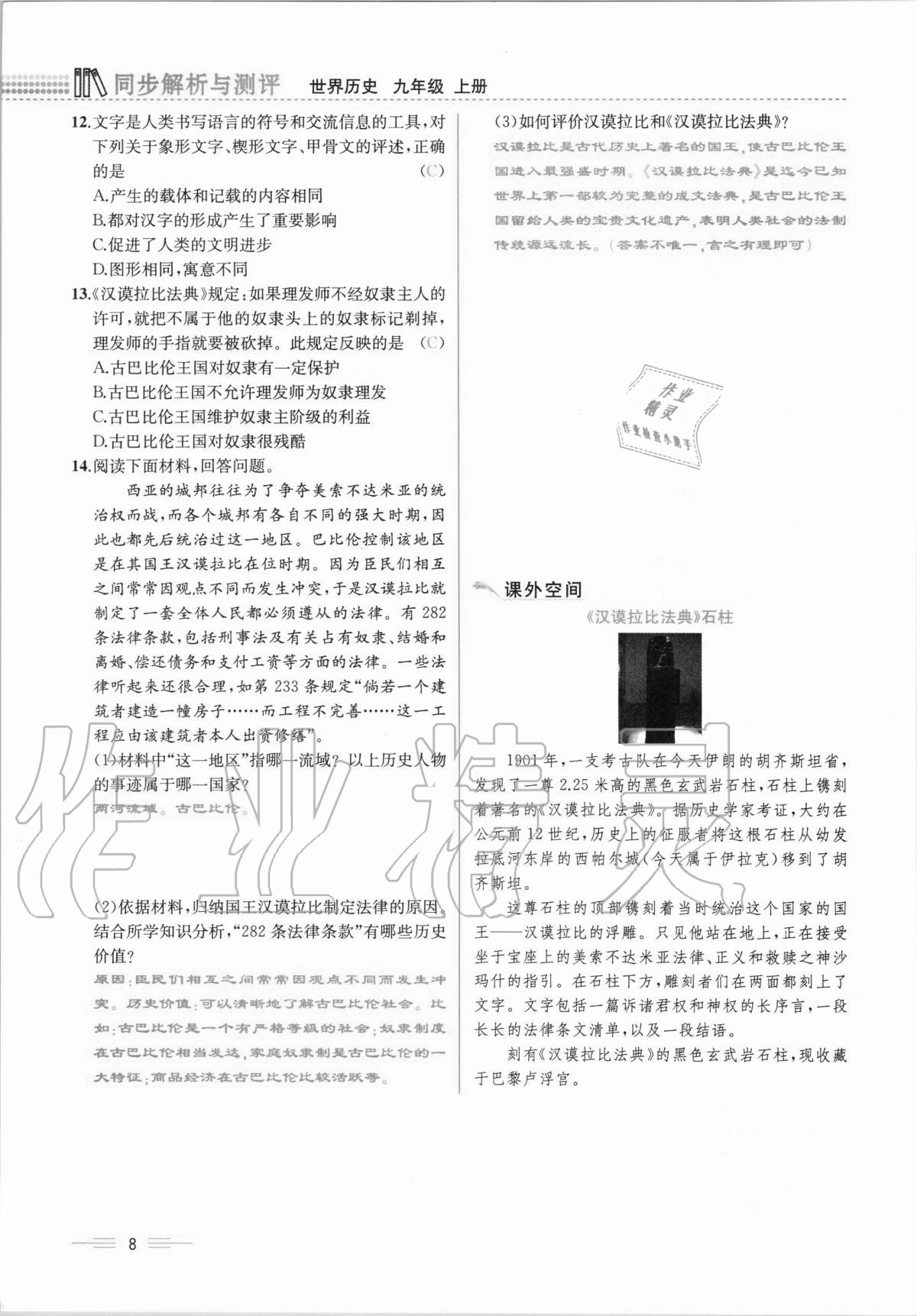 2020年人教金學典同步解析與測評九年級世界歷史上冊人教版云南專版 第8頁