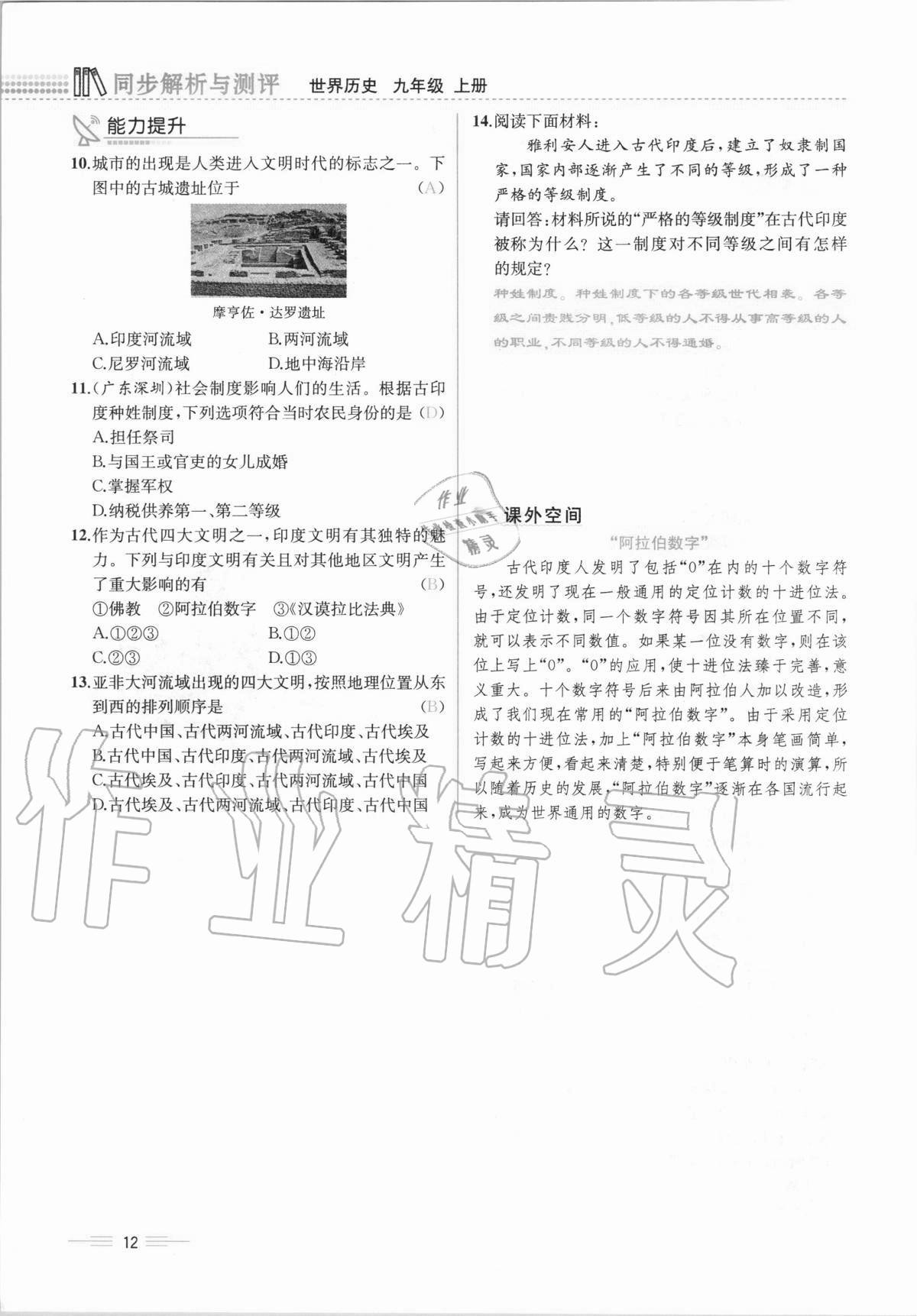 2020年人教金學(xué)典同步解析與測(cè)評(píng)九年級(jí)世界歷史上冊(cè)人教版云南專(zhuān)版 第12頁(yè)