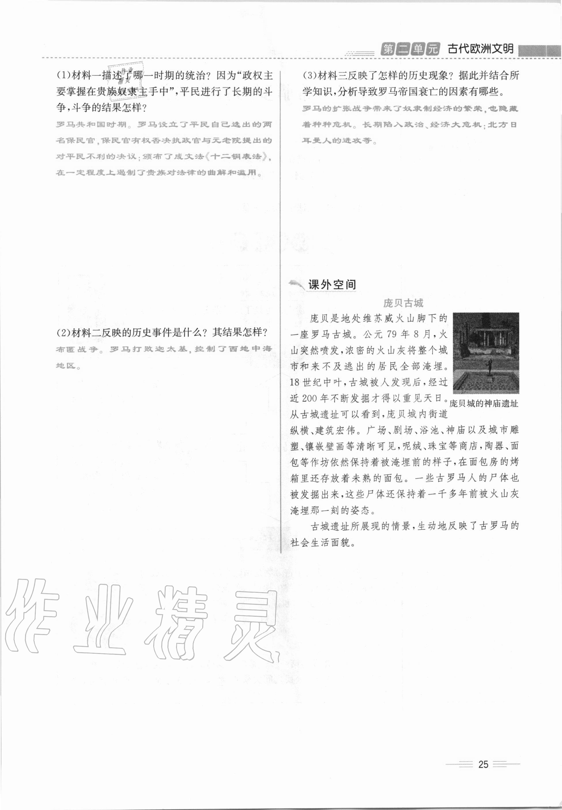 2020年人教金學(xué)典同步解析與測(cè)評(píng)九年級(jí)世界歷史上冊(cè)人教版云南專版 第25頁