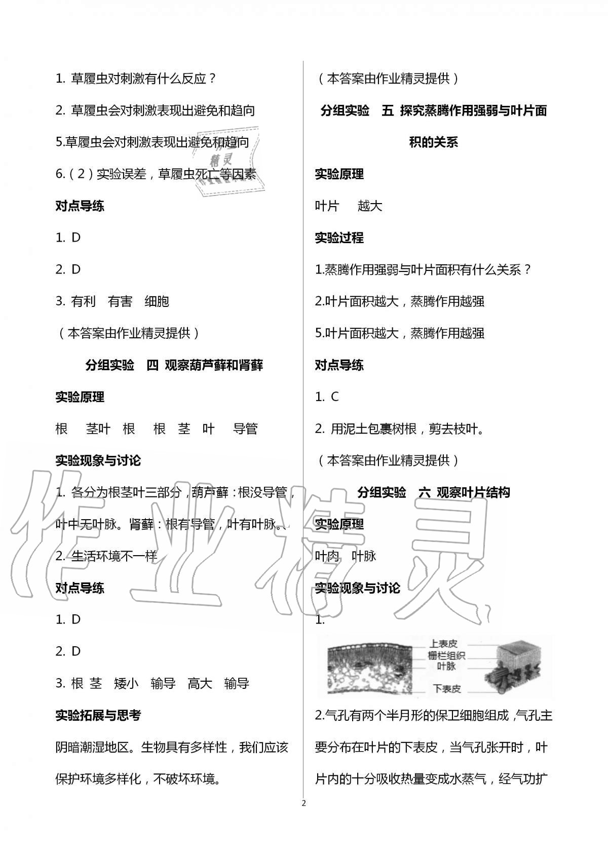2020年初中實驗探究報告冊七年級生物學(xué)上冊濟南版山東教育出版社 第2頁