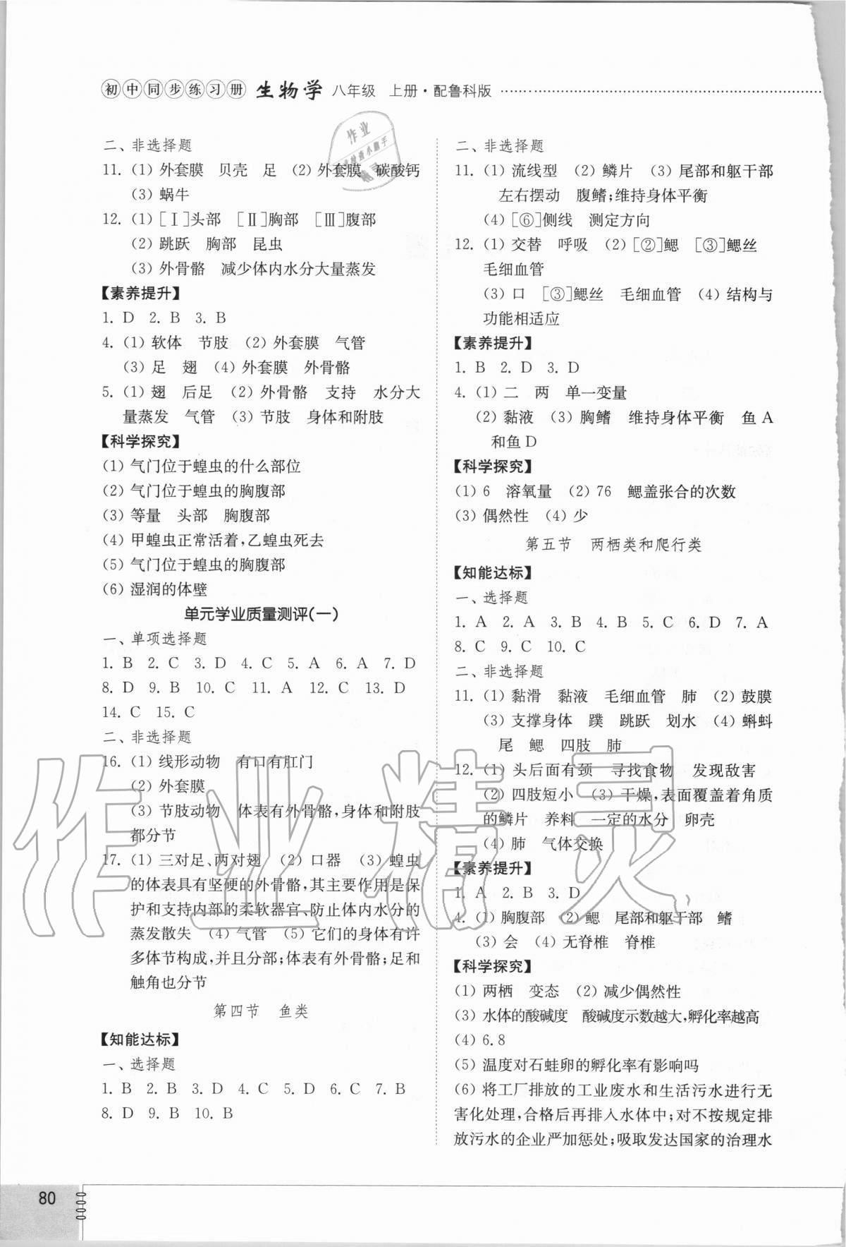 2020年初中同步练习册八年级生物学上册鲁科版54制山东教育出版社 第2页