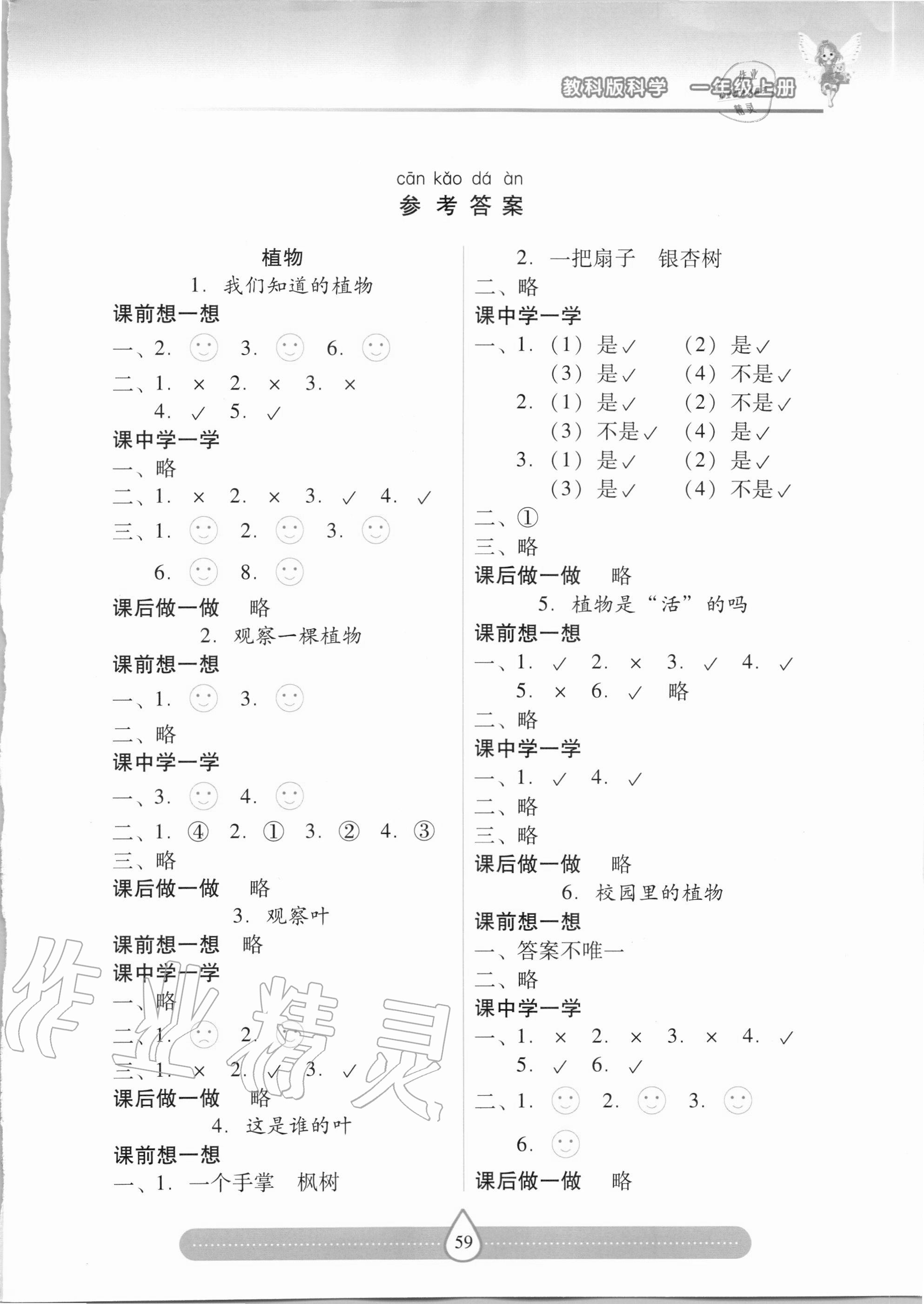 2020年新课标两导两练高效学案一年级科学上册教科版 第1页