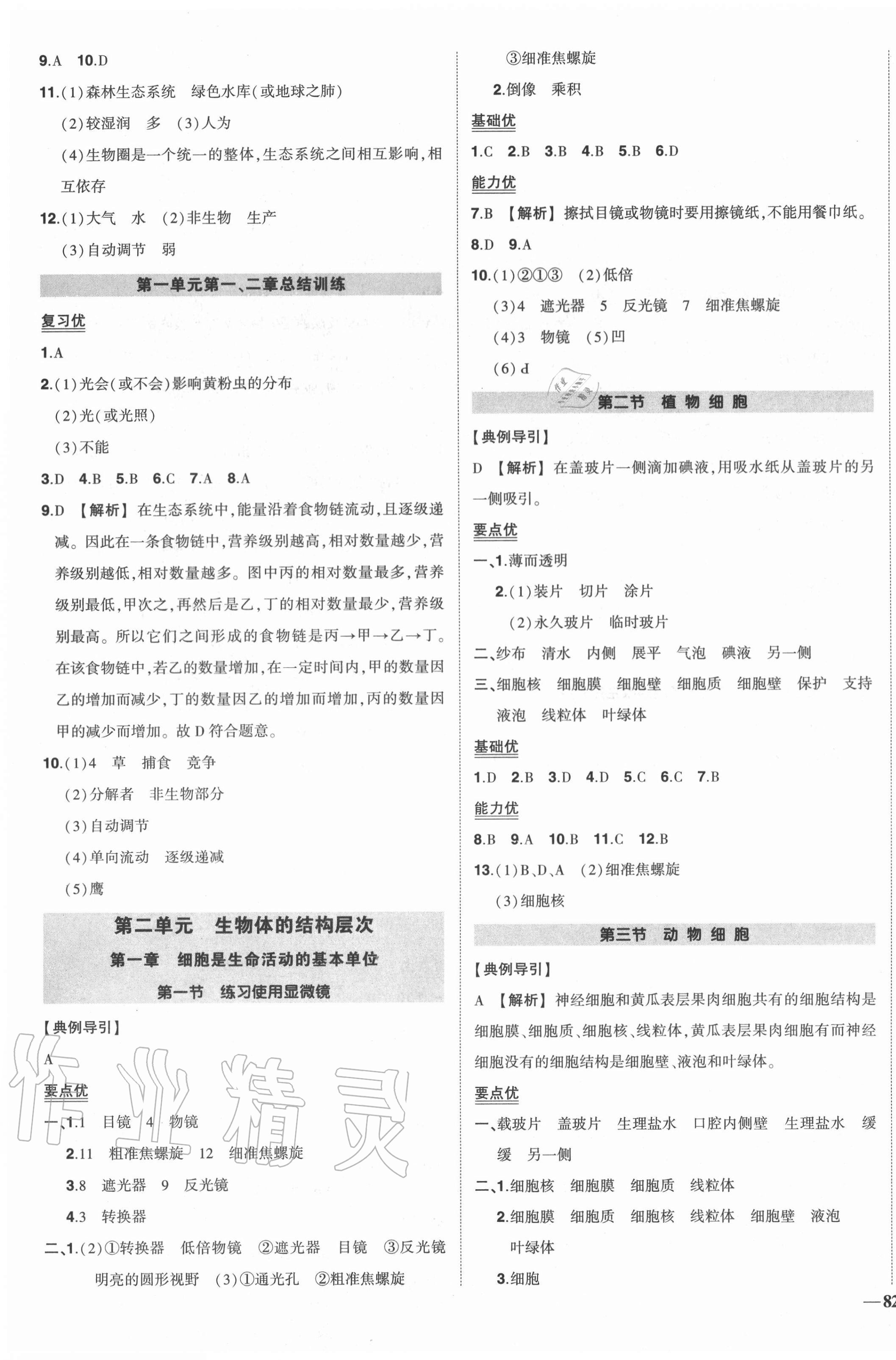 2020年?duì)钤刹怕穭?chuàng)優(yōu)作業(yè)七年級(jí)生物上冊(cè)人教版 第3頁