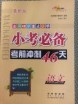 2020年小考必备考前冲刺46天语文