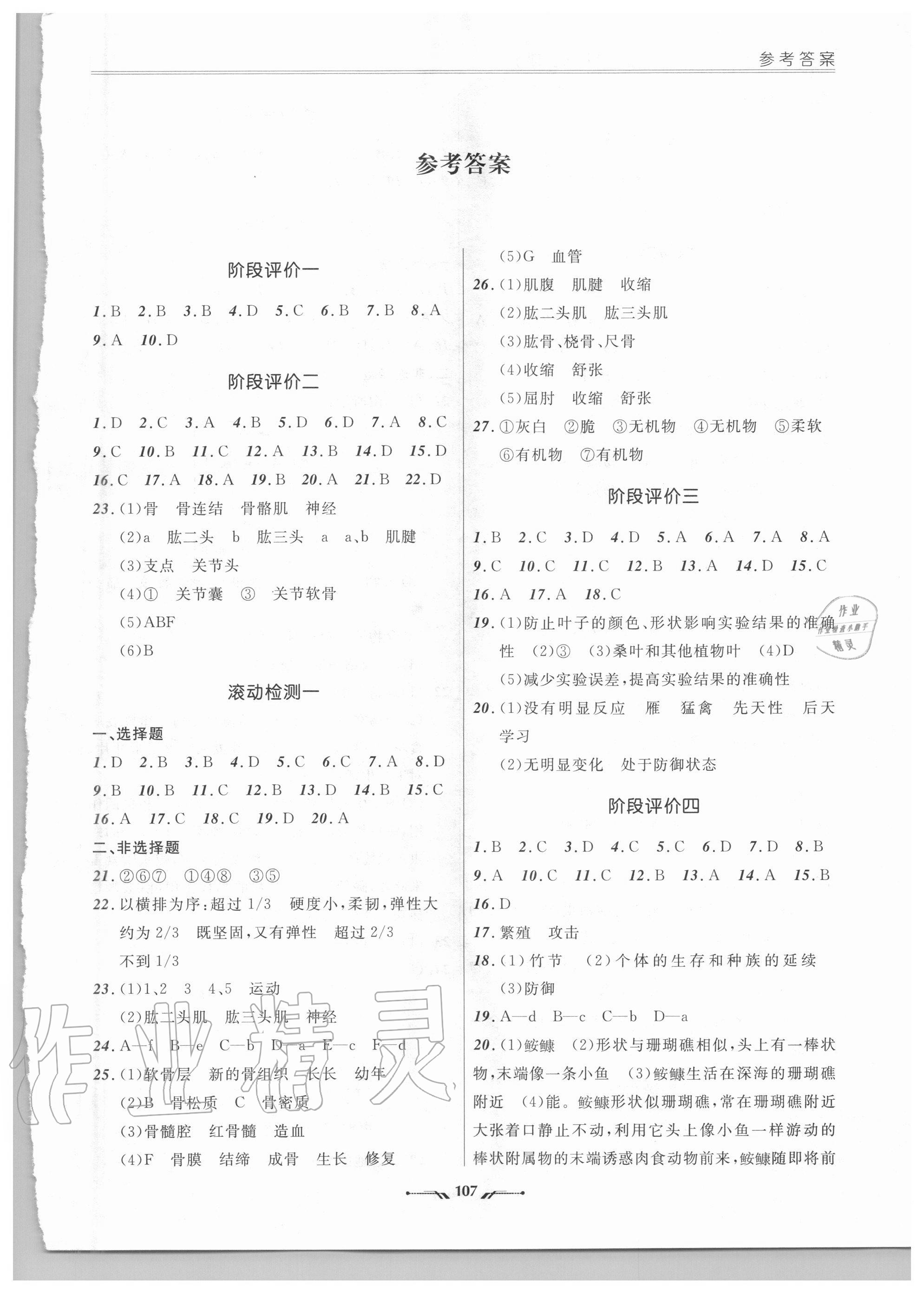 2020年新課程評價手冊八年級生物上冊北師大版 參考答案第1頁