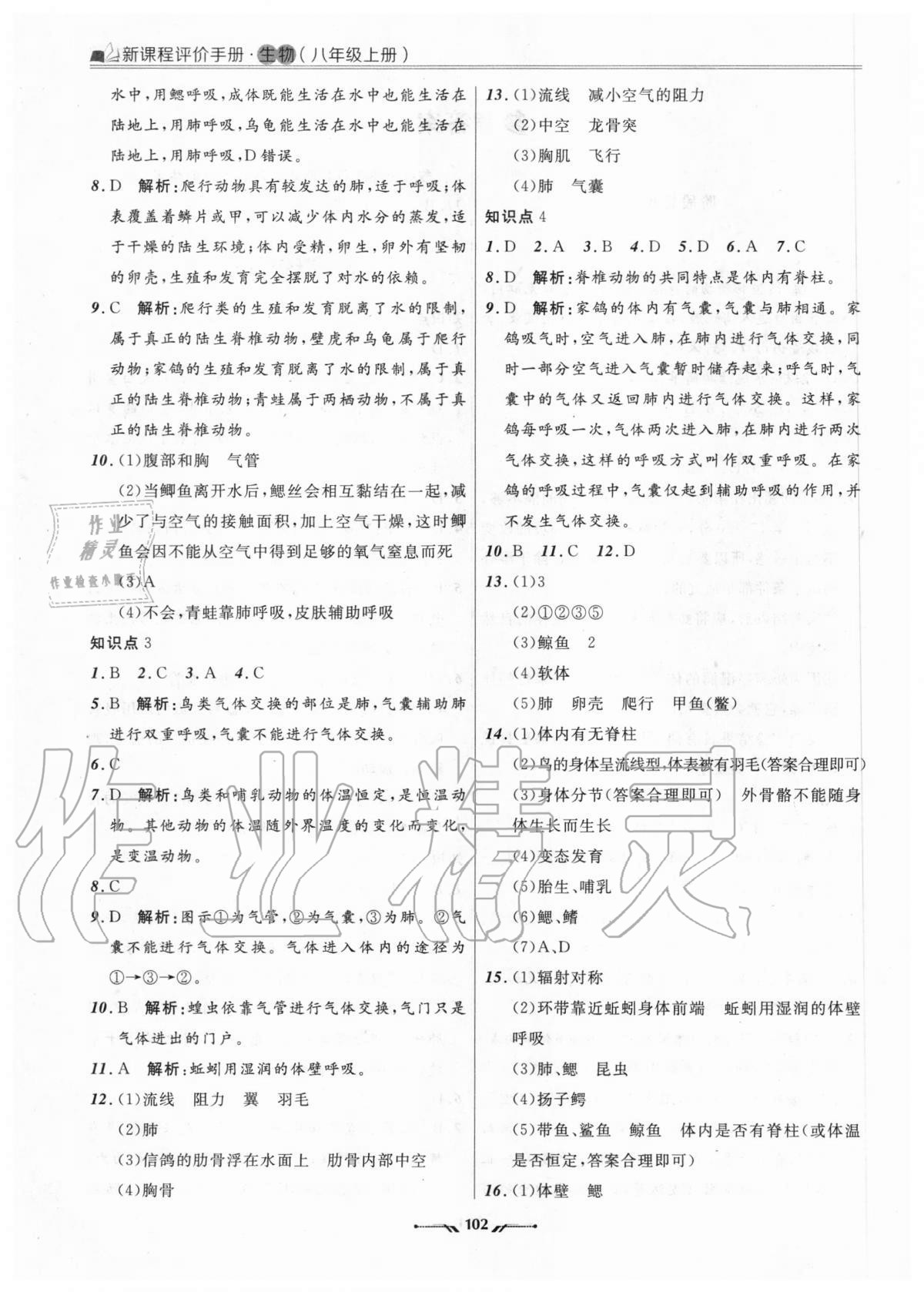 2020年新課程評價手冊八年級生物上冊人教版 參考答案第2頁
