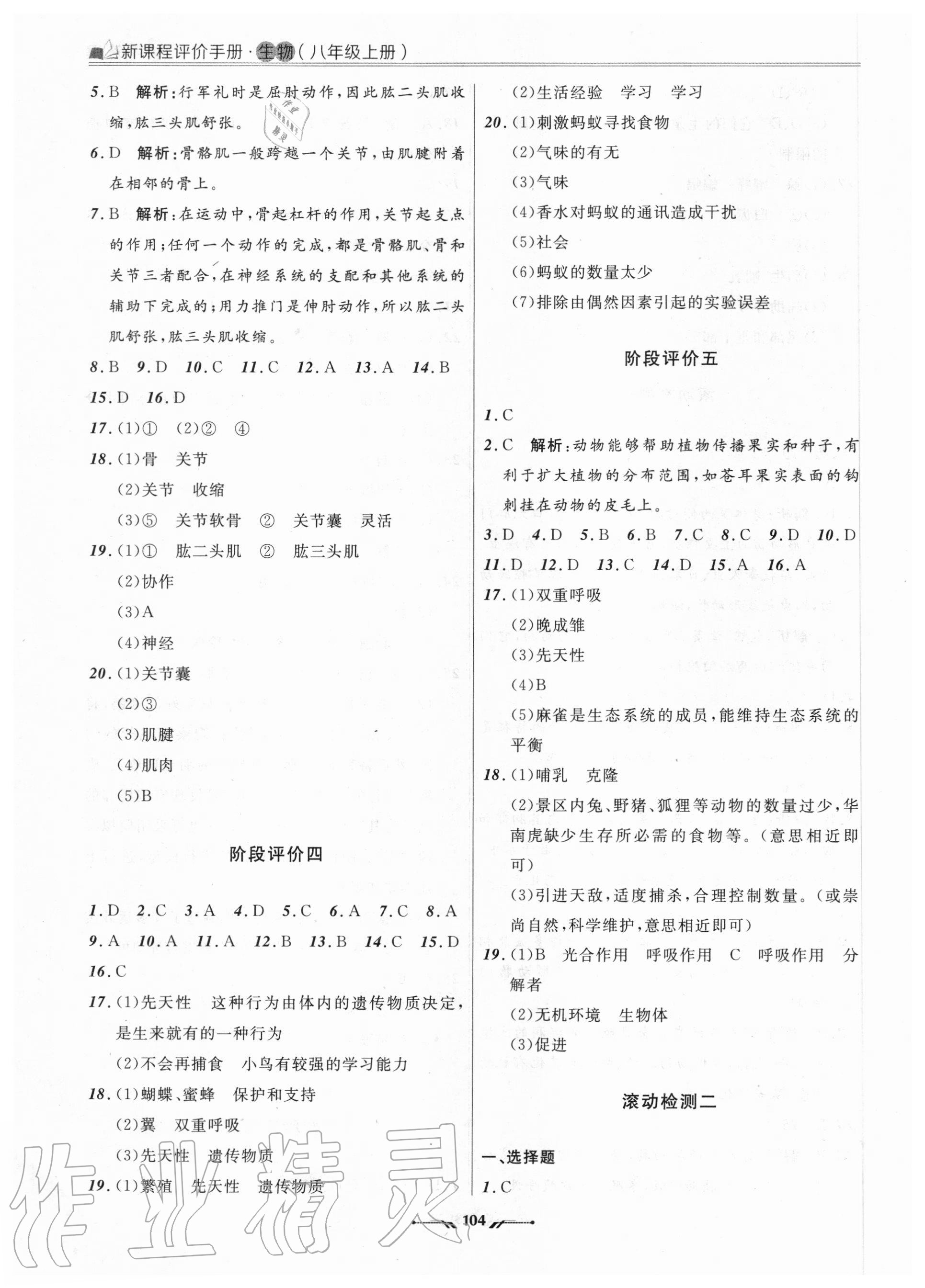 2020年新課程評價手冊八年級生物上冊人教版 參考答案第4頁