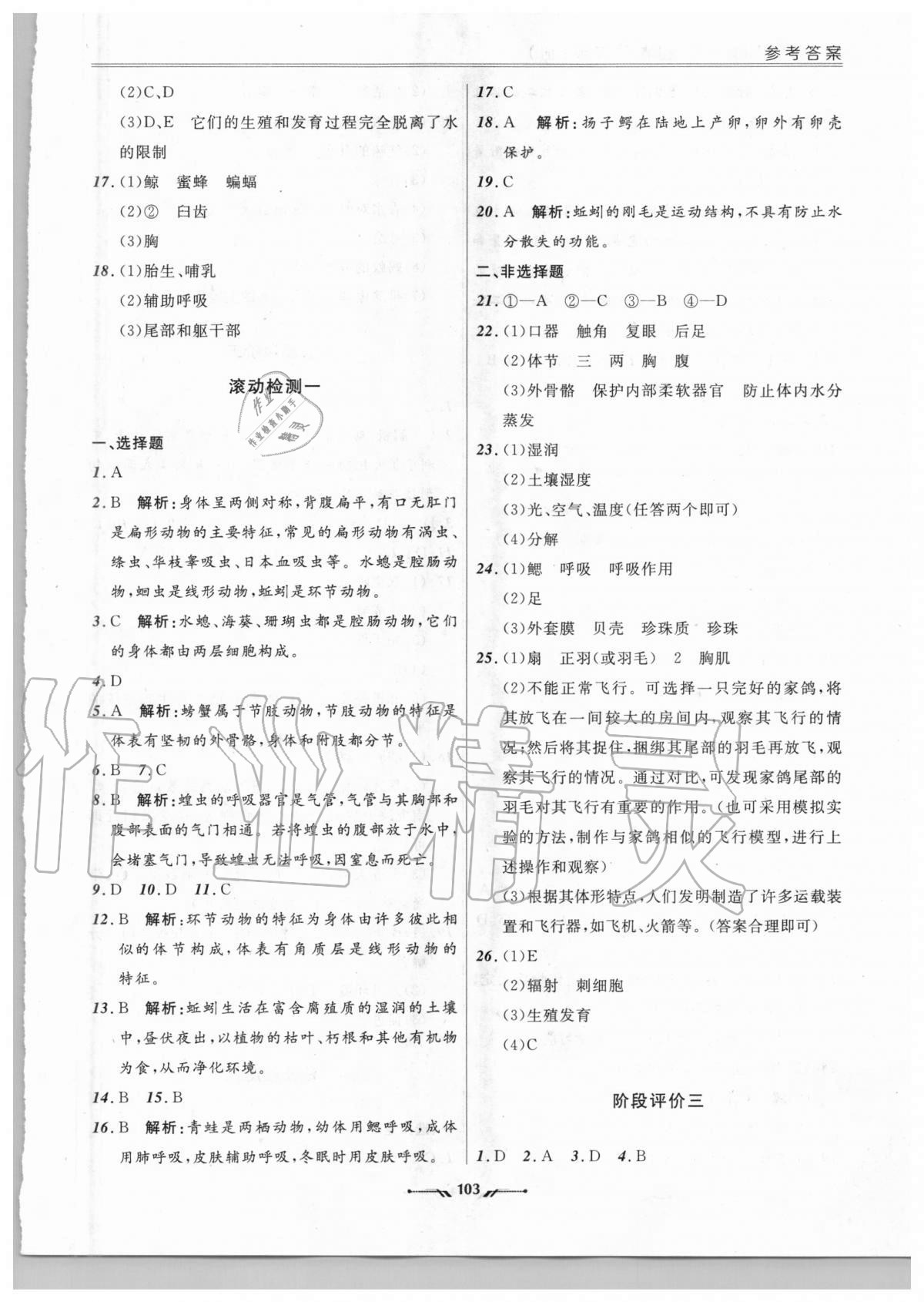 2020年新課程評價手冊八年級生物上冊人教版 參考答案第3頁