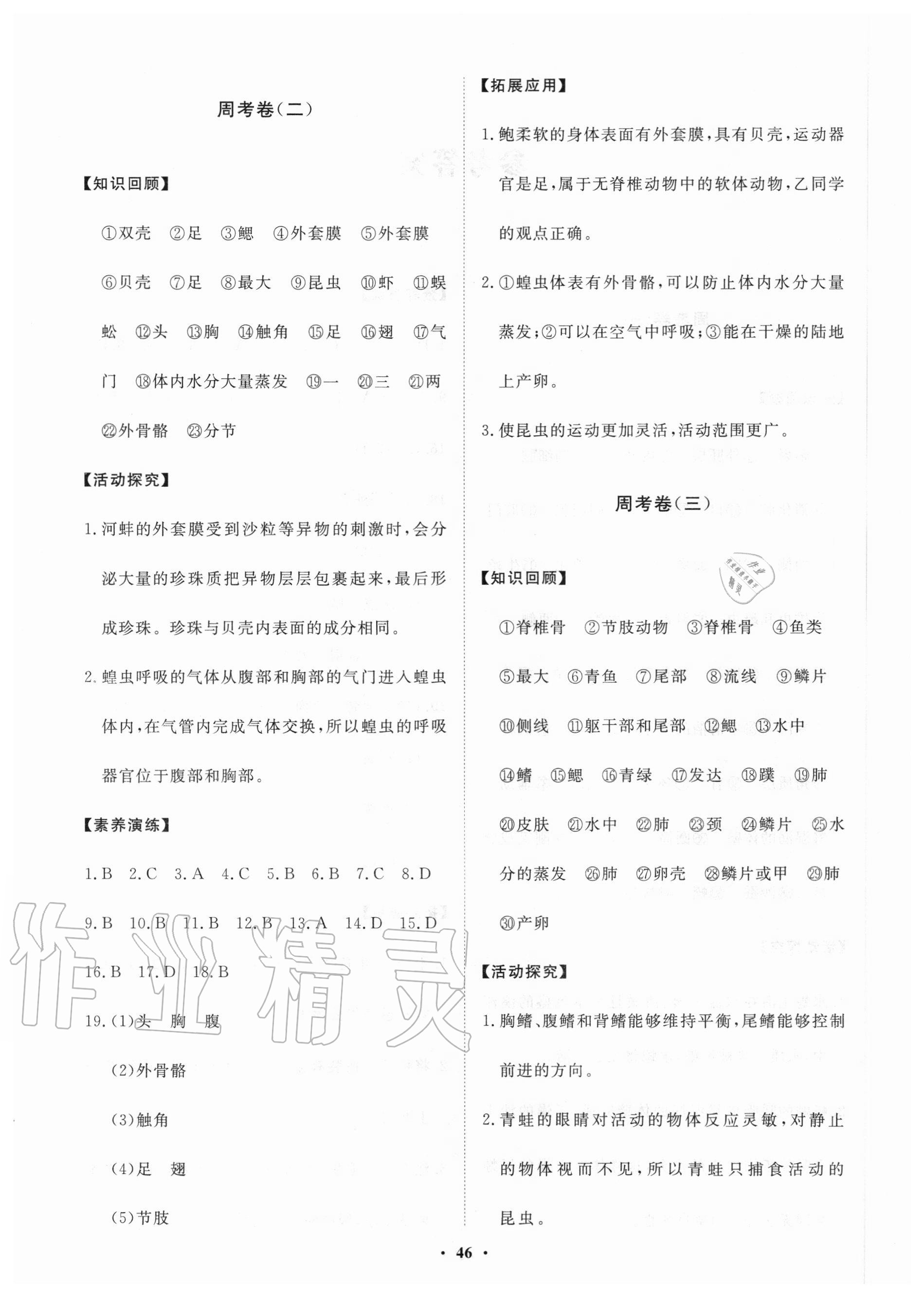 2020年初中同步练习册分层卷八年级生物学上册鲁科版五四制 第2页