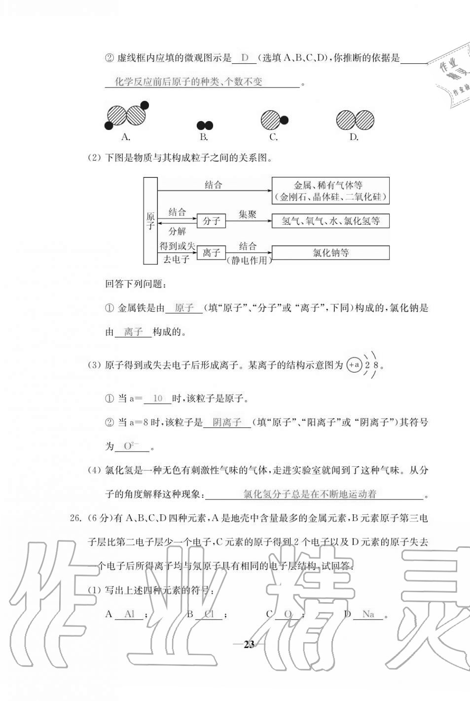 2020年本土卷九年級(jí)化學(xué)全一冊人教版 第23頁