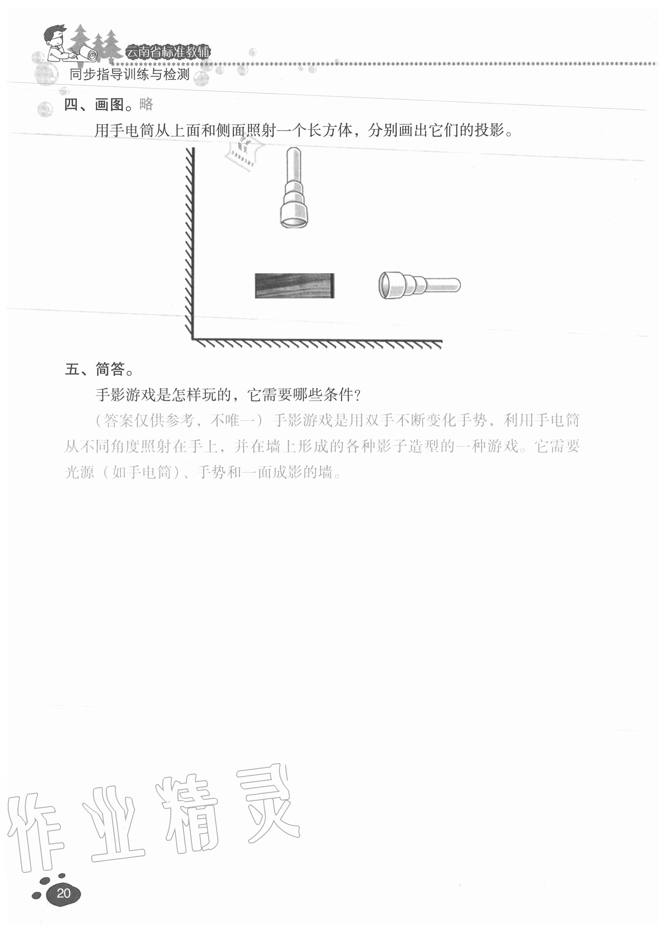 2020年云南省标准教辅同步指导训练与检测五年级科学上册教科版 参考答案第19页