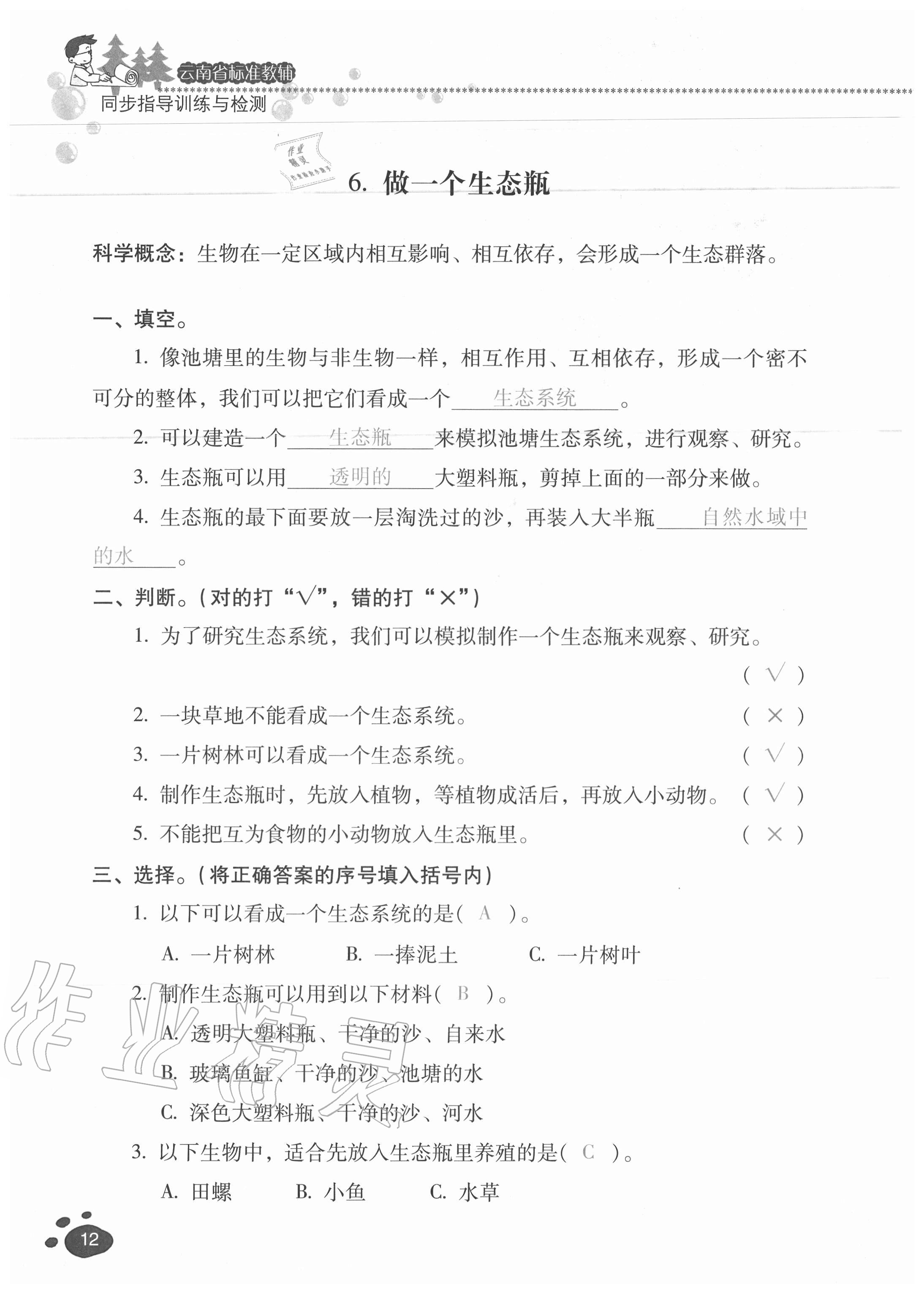 2020年云南省標(biāo)準(zhǔn)教輔同步指導(dǎo)訓(xùn)練與檢測(cè)五年級(jí)科學(xué)上冊(cè)教科版 參考答案第11頁(yè)