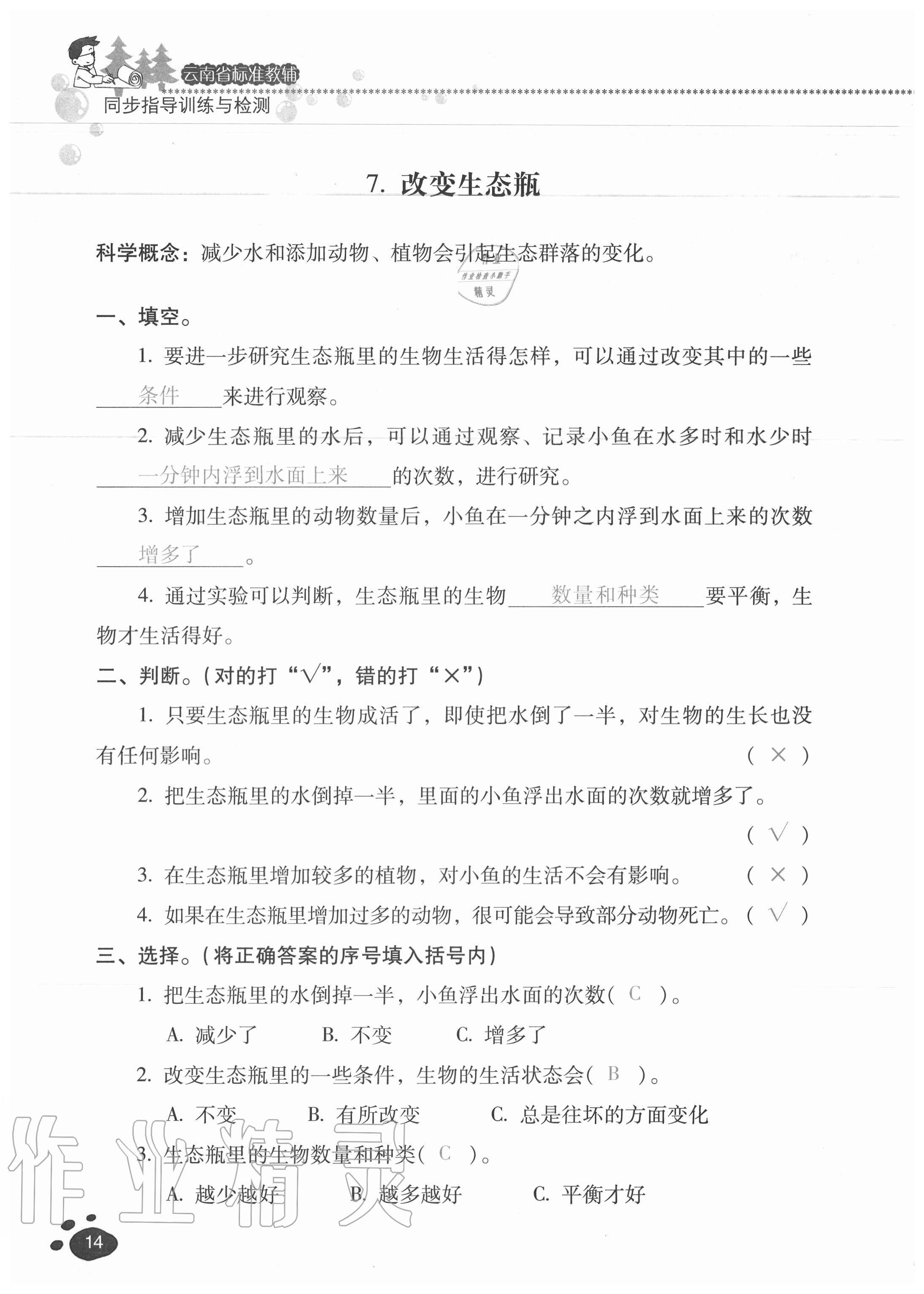 2020年云南省标准教辅同步指导训练与检测五年级科学上册教科版 参考答案第13页