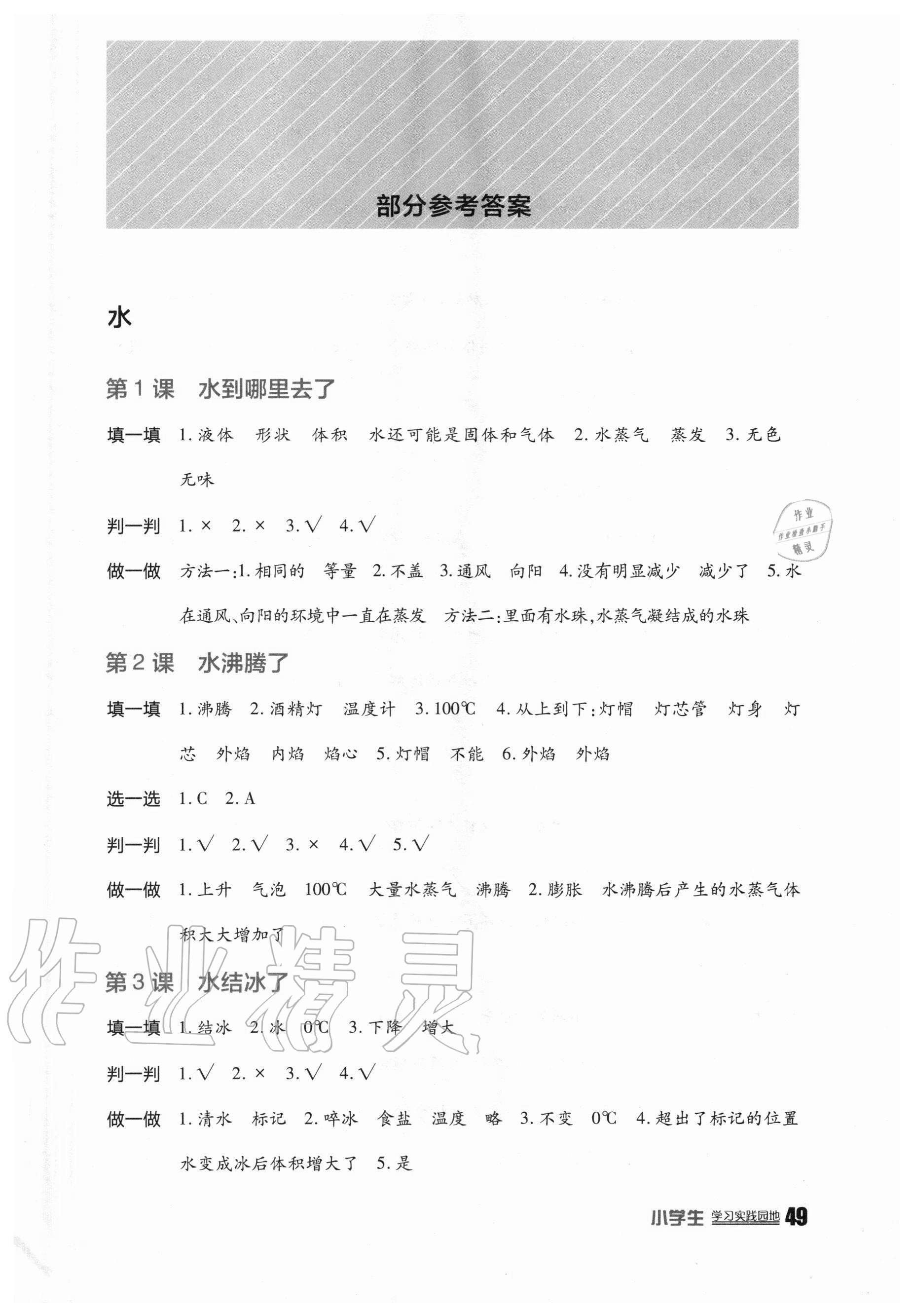 2020年小学生学习实践园地三年级科学上册教科版 第1页