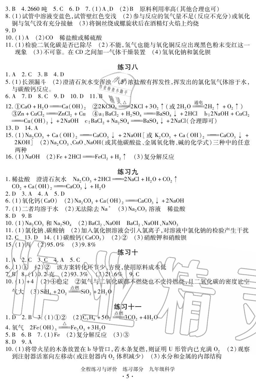 2020年全程练习与评价九年级科学上册浙教版 参考答案第5页