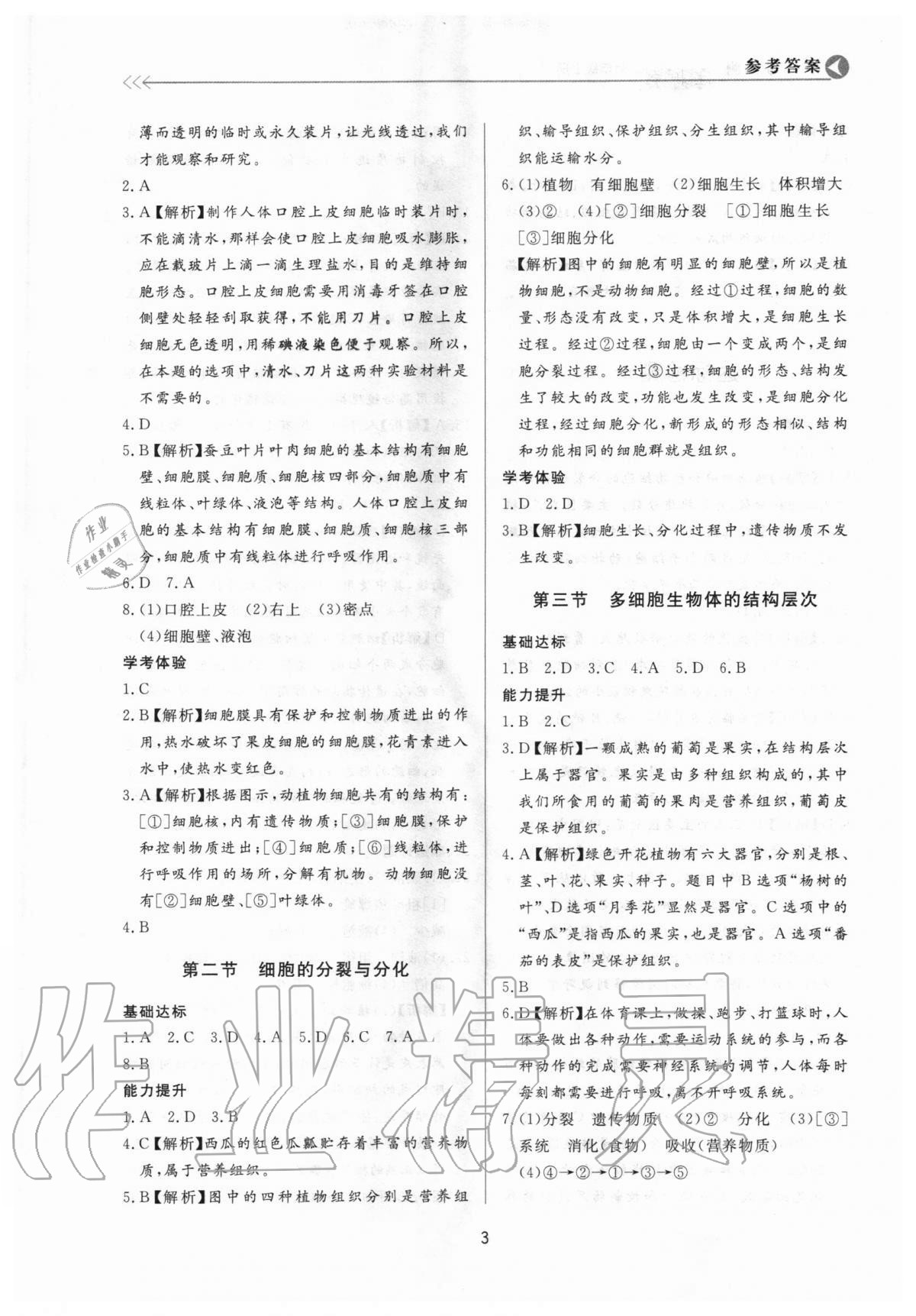 2020年学习与检测七年级生物上册济南版济南出版社 第3页