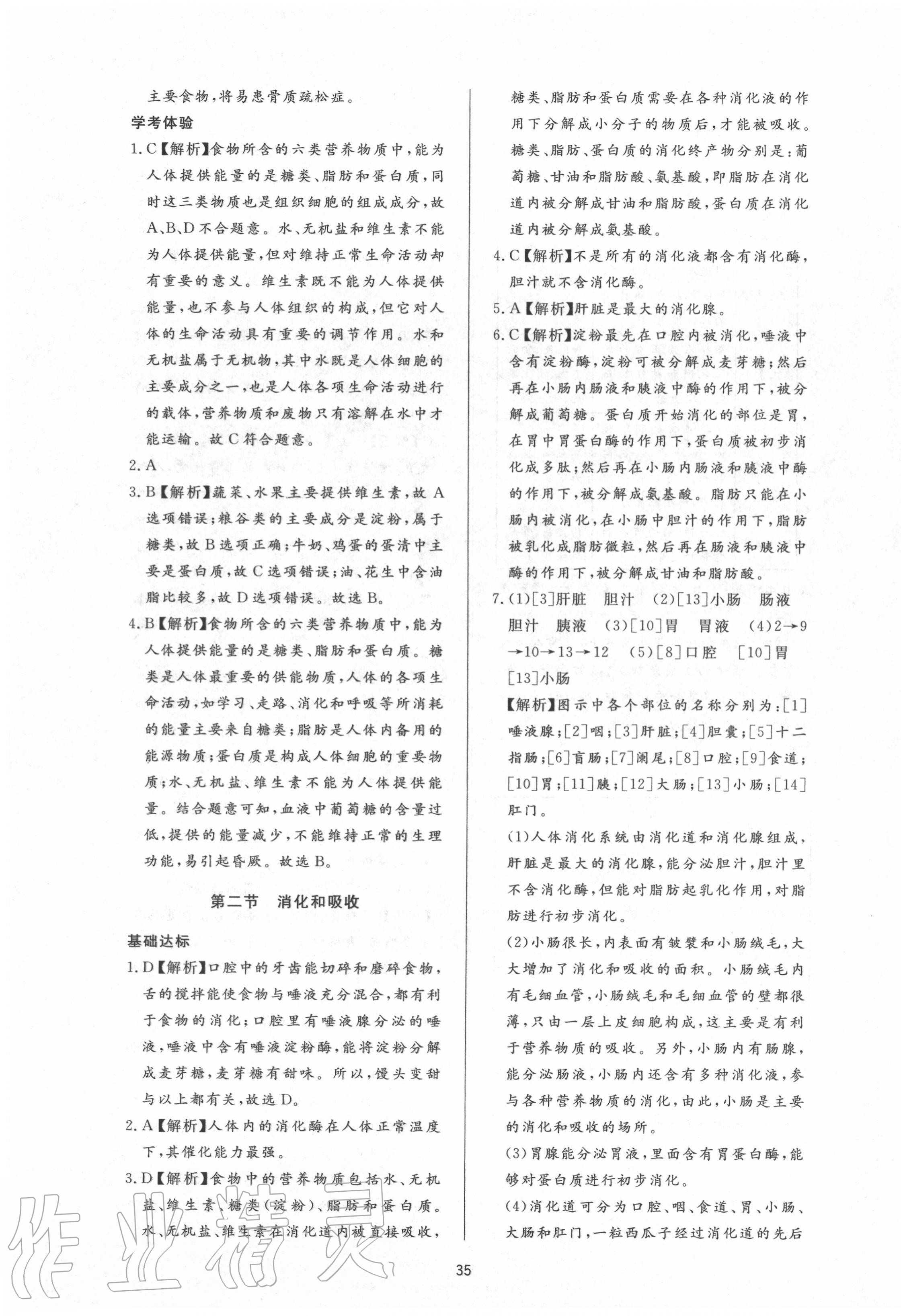 2020年新课程学习与检测七年级生物上册鲁科版54制 第7页