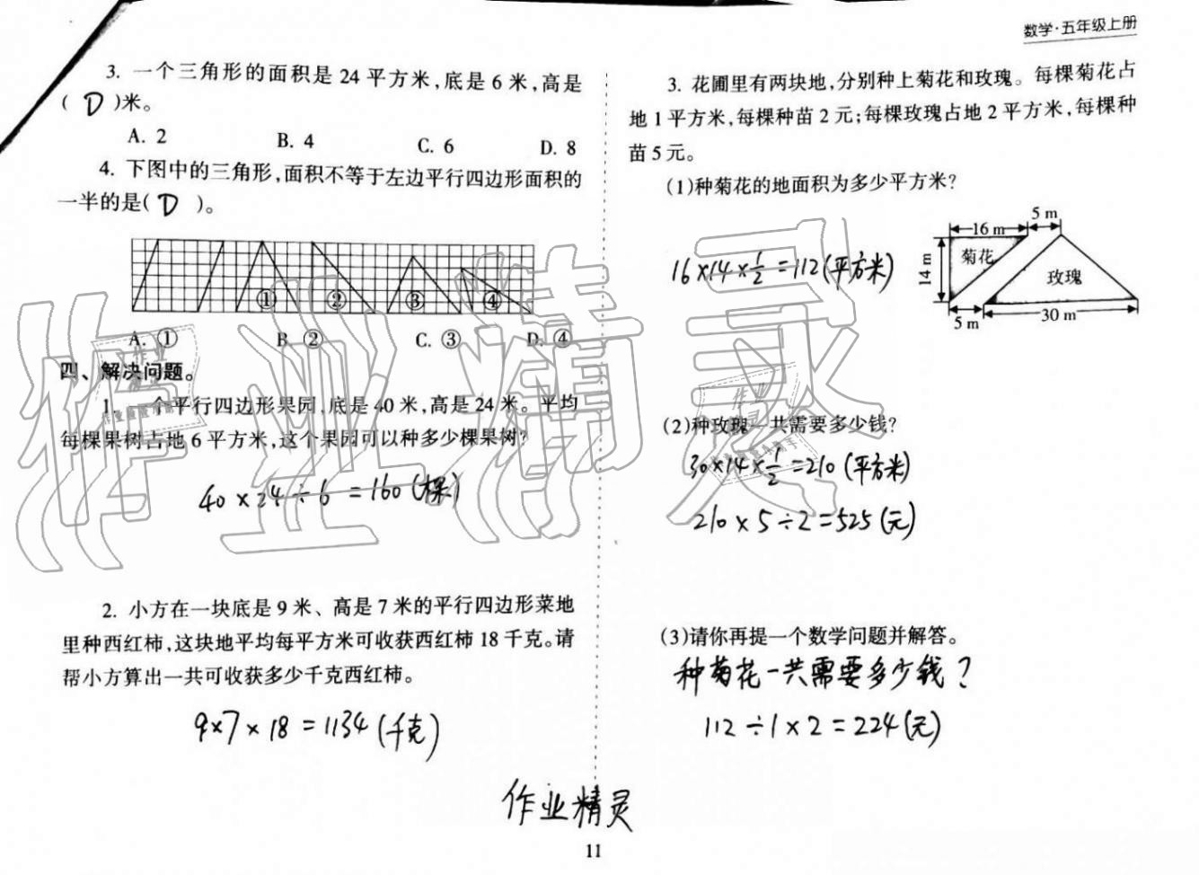 2020年新課程課堂同步練習冊五年級數(shù)學上冊蘇教版 第11頁