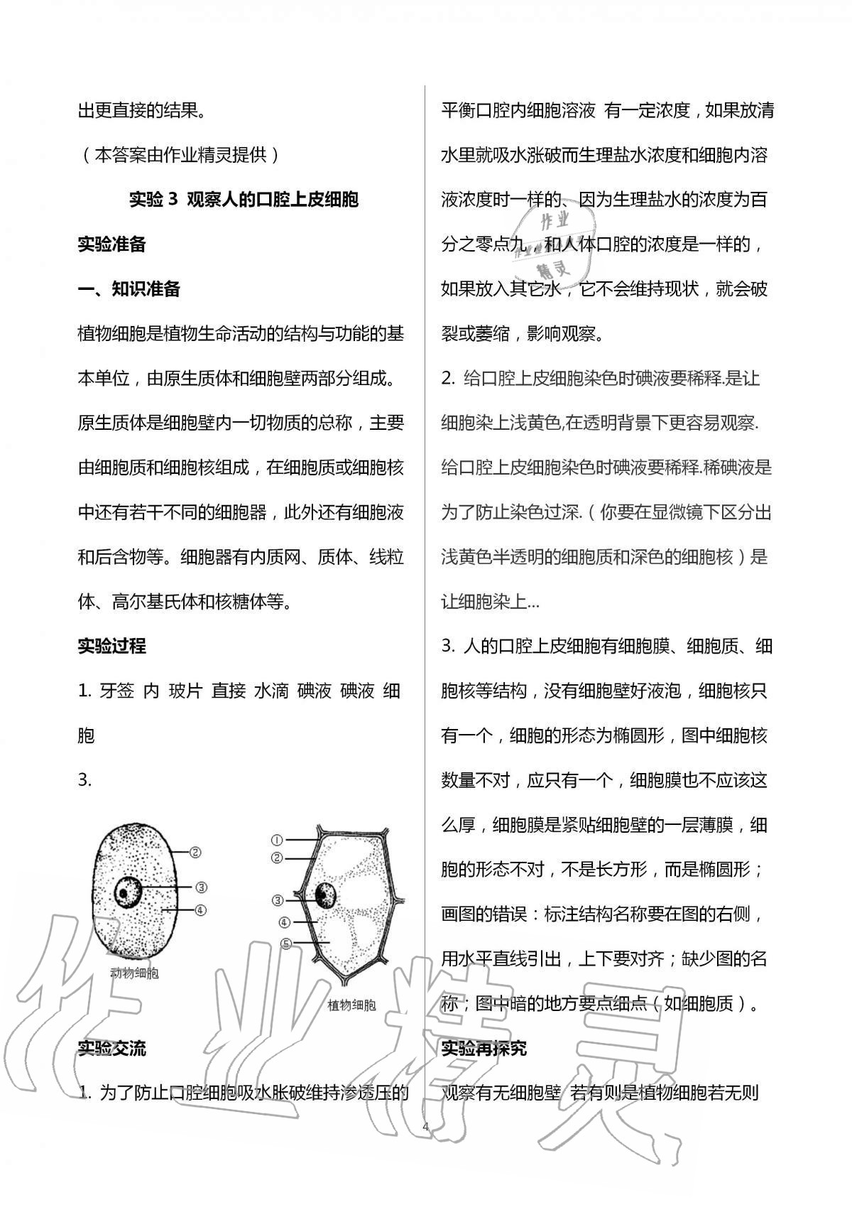 2020年初中實驗探究報告冊七年級生物學(xué)上冊人教版山東文藝出版社 第4頁