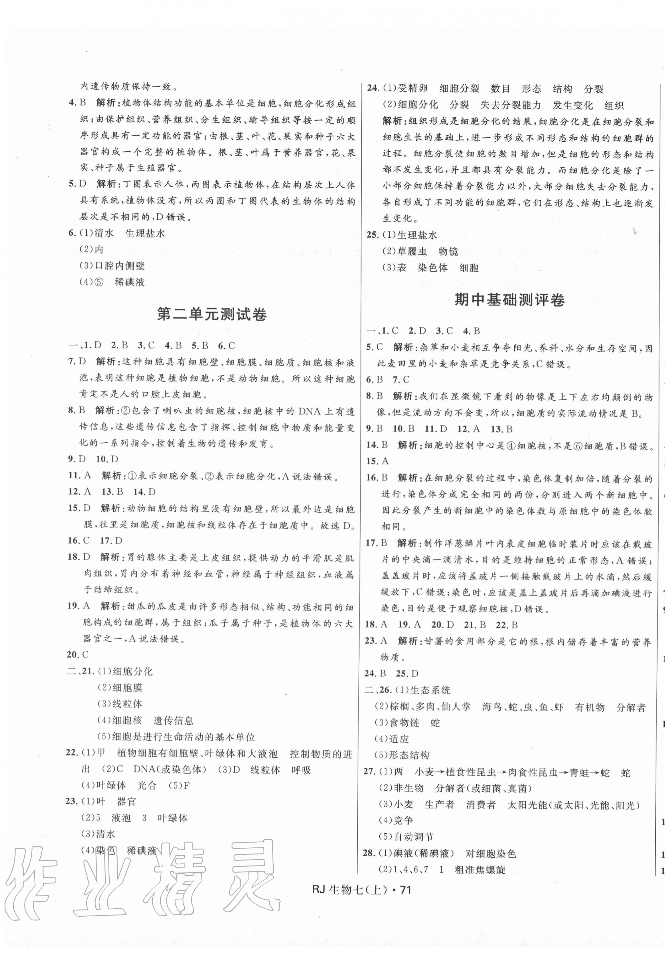 2020年夺冠百分百初中优化测试卷七年级生物上册人教版 参考答案第3页