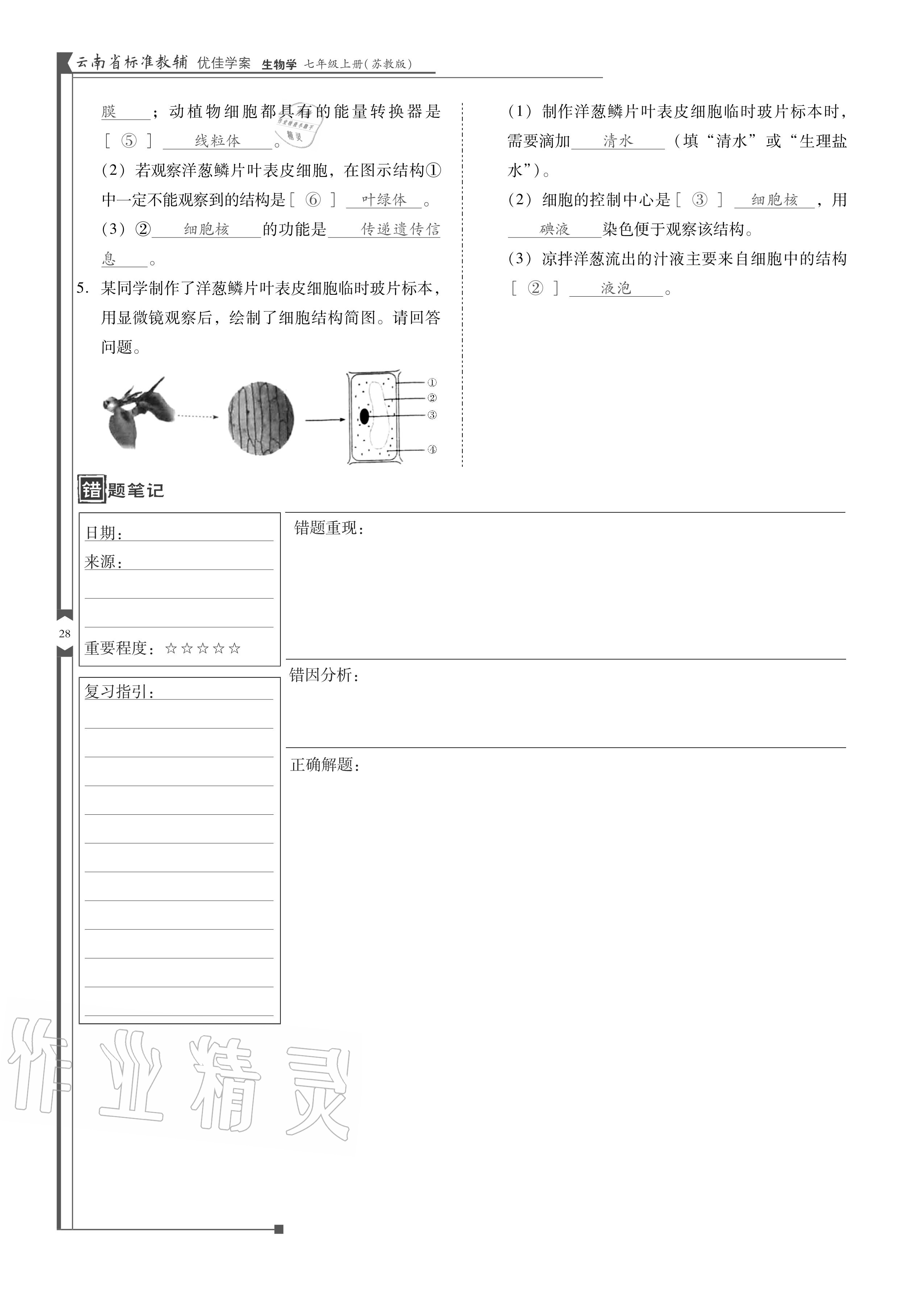 2020年云南省標(biāo)準(zhǔn)教輔優(yōu)佳學(xué)案七年級(jí)生物上冊(cè)蘇教版 參考答案第28頁(yè)