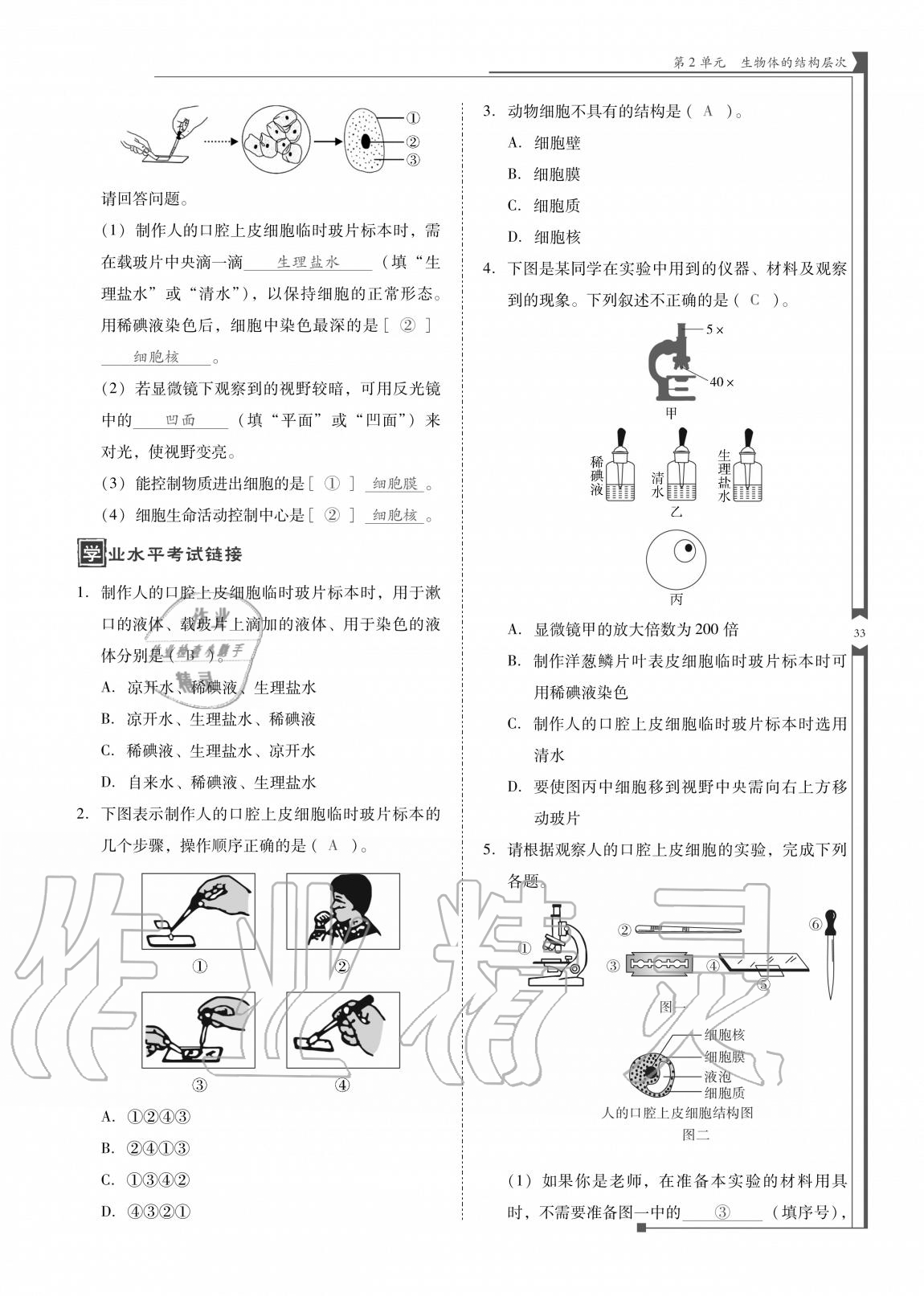 2020年云南省標(biāo)準(zhǔn)教輔優(yōu)佳學(xué)案七年級(jí)生物上冊(cè)蘇教版 參考答案第33頁