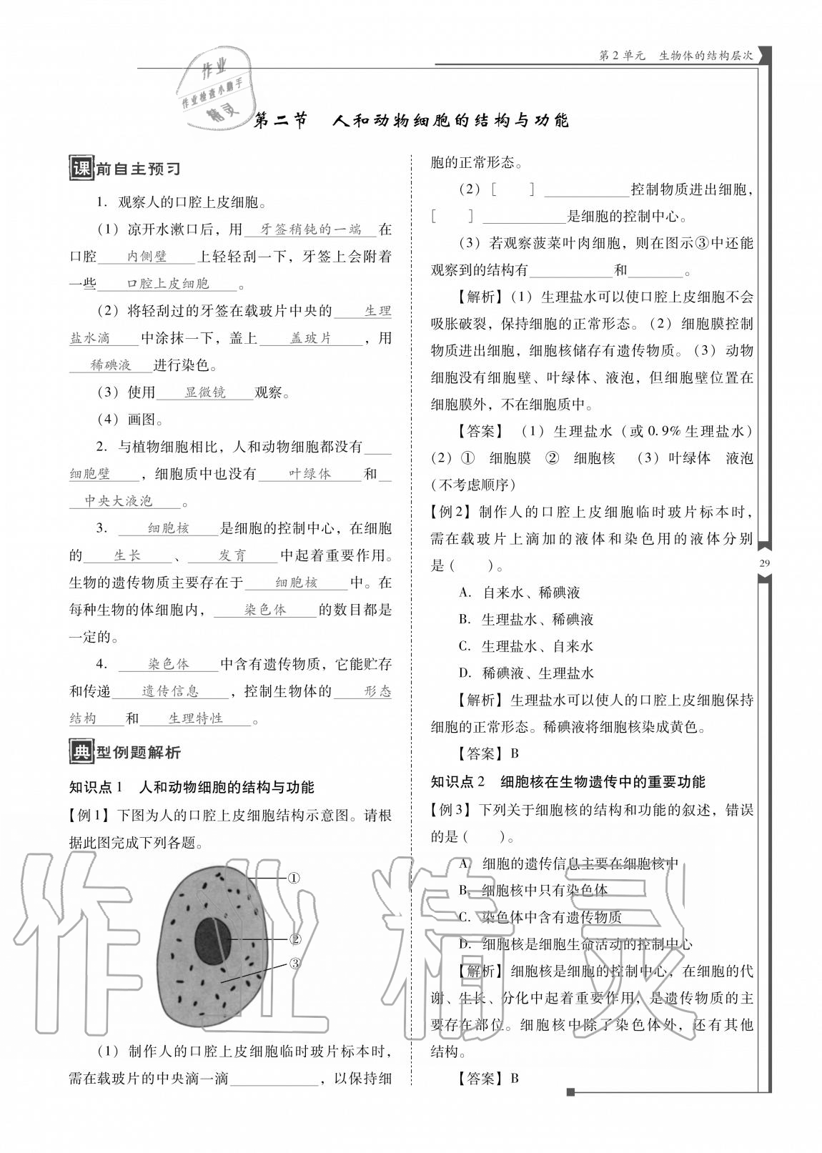 2020年云南省標(biāo)準(zhǔn)教輔優(yōu)佳學(xué)案七年級生物上冊蘇教版 參考答案第29頁