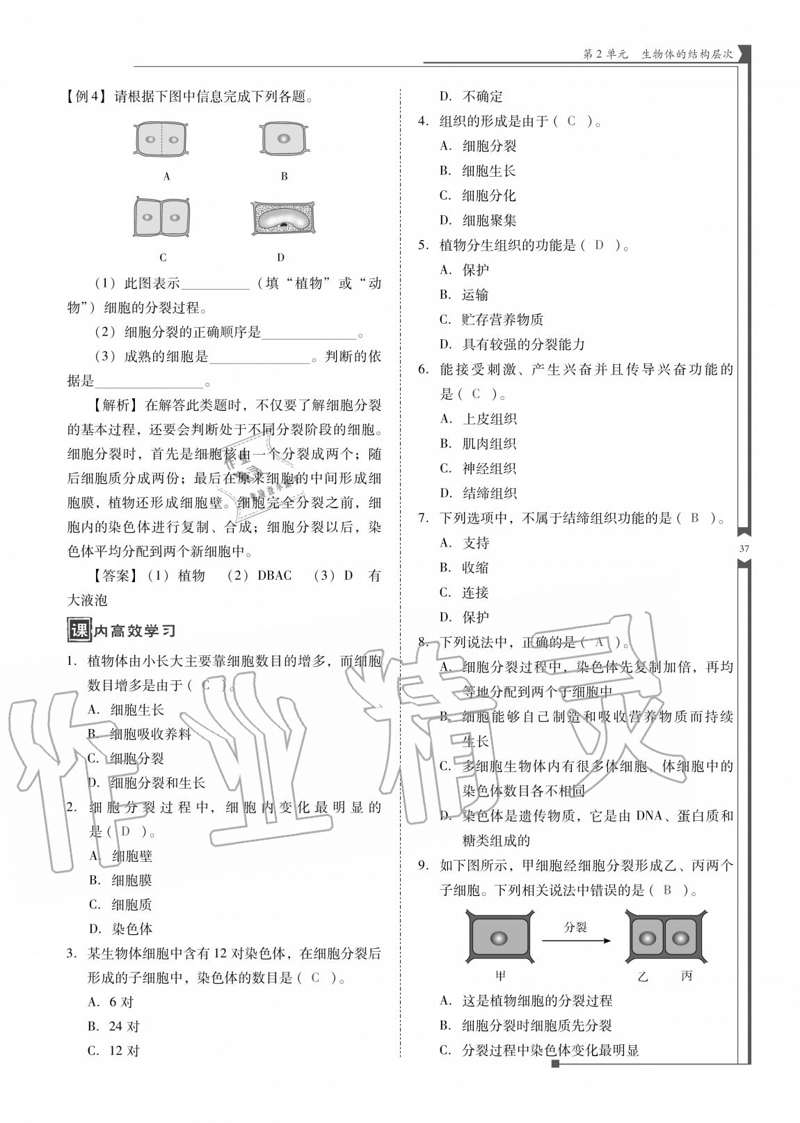 2020年云南省標(biāo)準(zhǔn)教輔優(yōu)佳學(xué)案七年級(jí)生物上冊(cè)蘇教版 參考答案第37頁