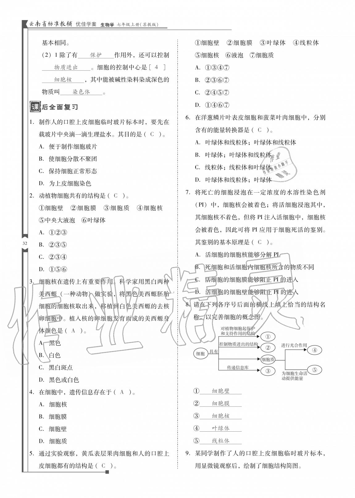 2020年云南省標(biāo)準(zhǔn)教輔優(yōu)佳學(xué)案七年級(jí)生物上冊(cè)蘇教版 參考答案第32頁(yè)