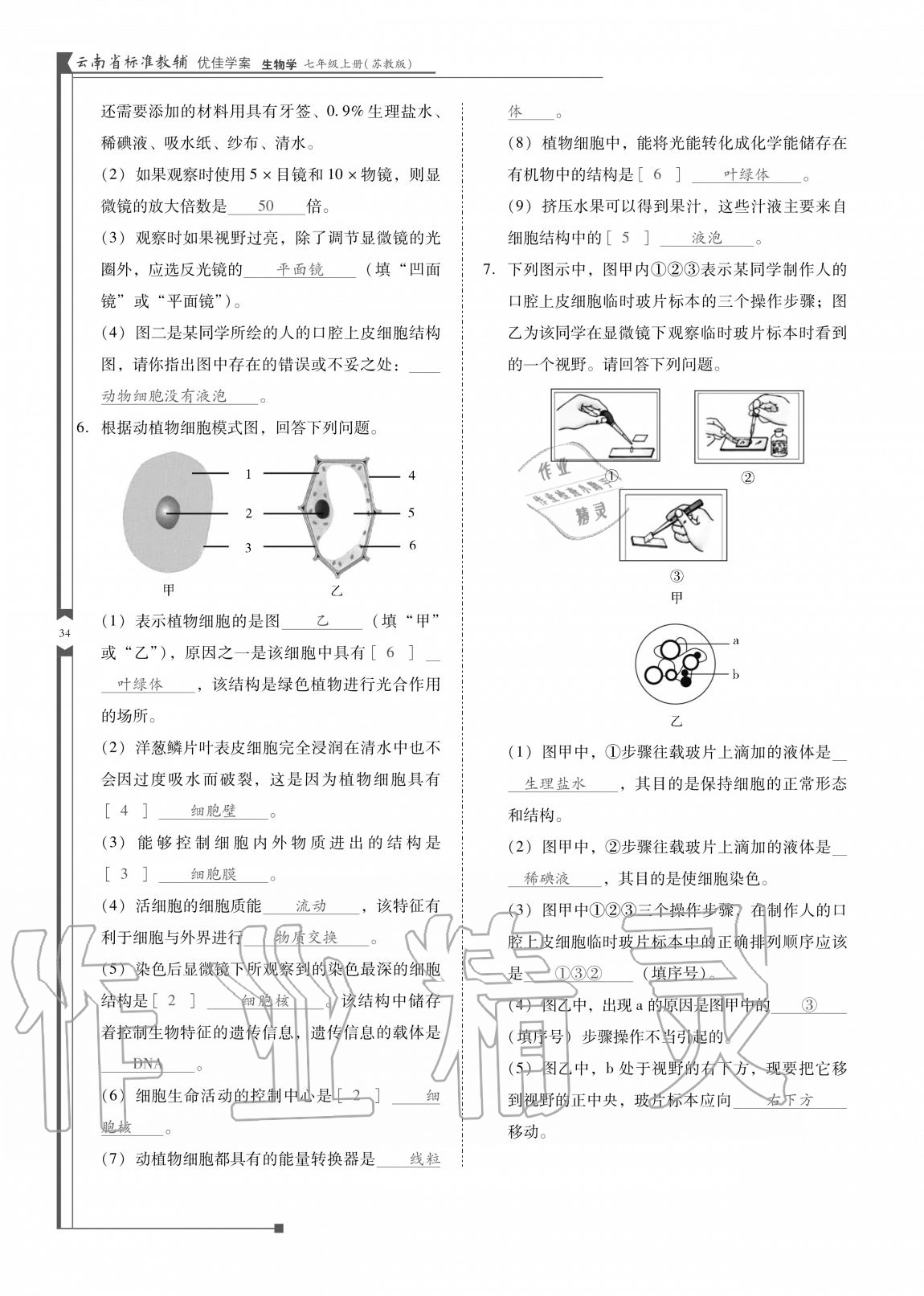 2020年云南省标准教辅优佳学案七年级生物上册苏教版 参考答案第34页