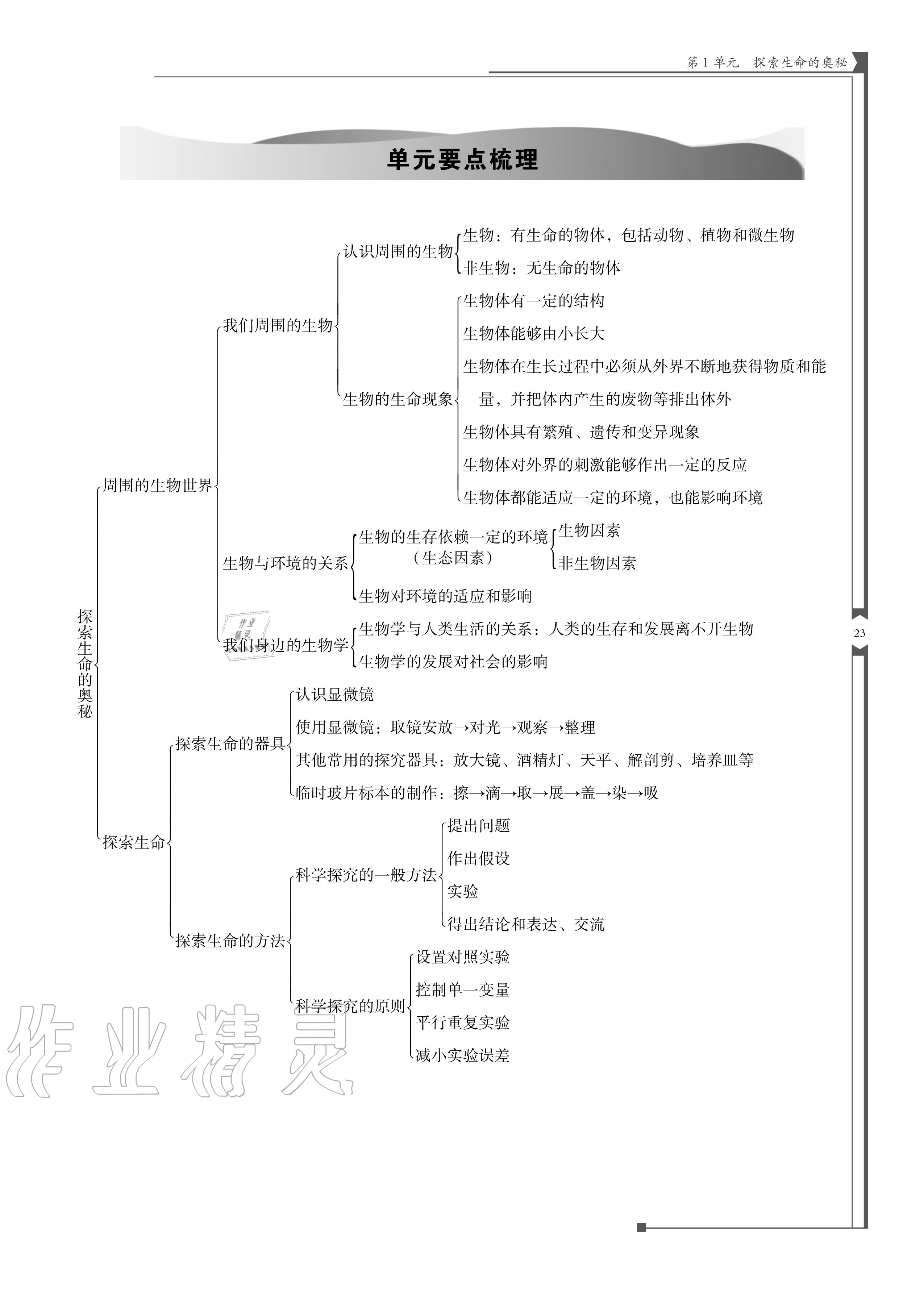 2020年云南省标准教辅优佳学案七年级生物上册苏教版 参考答案第23页