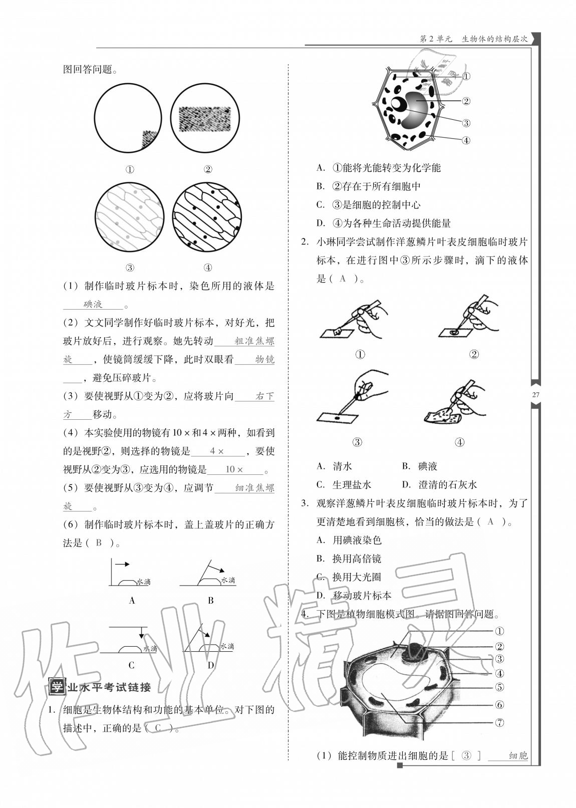 2020年云南省標(biāo)準(zhǔn)教輔優(yōu)佳學(xué)案七年級生物上冊蘇教版 參考答案第27頁