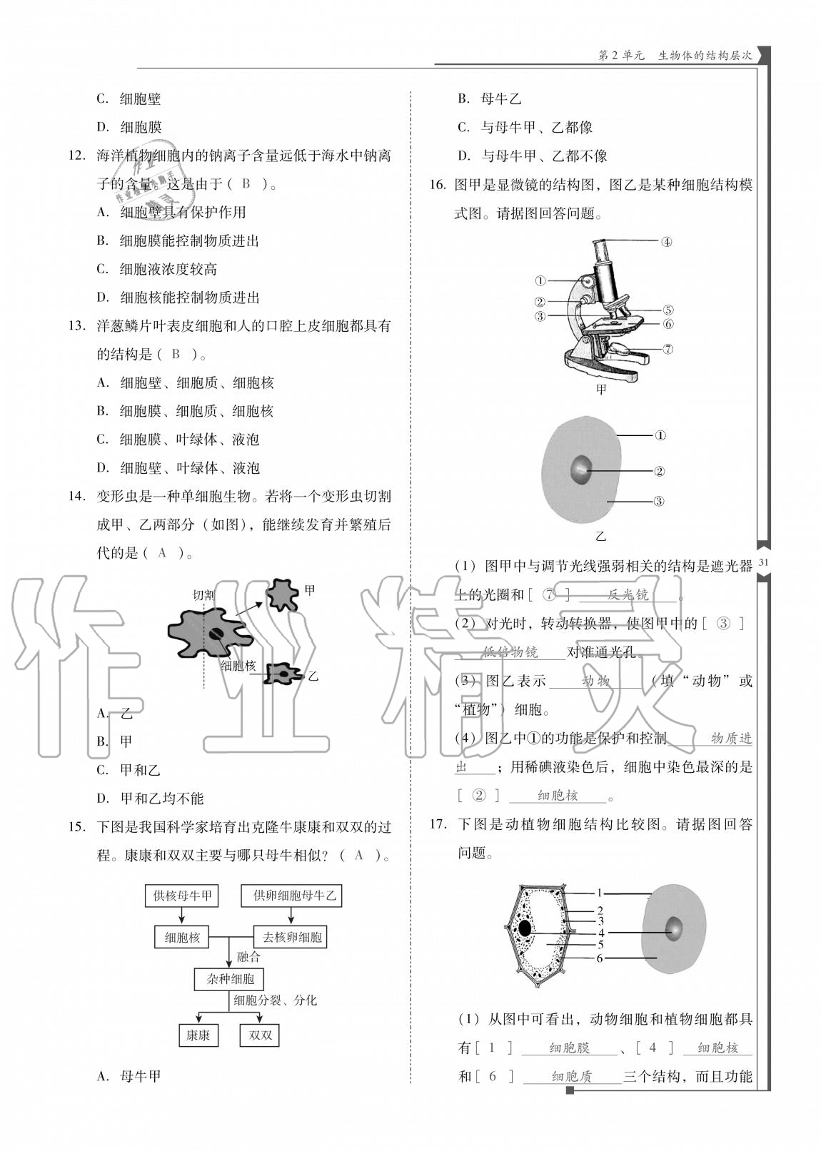 2020年云南省标准教辅优佳学案七年级生物上册苏教版 参考答案第31页