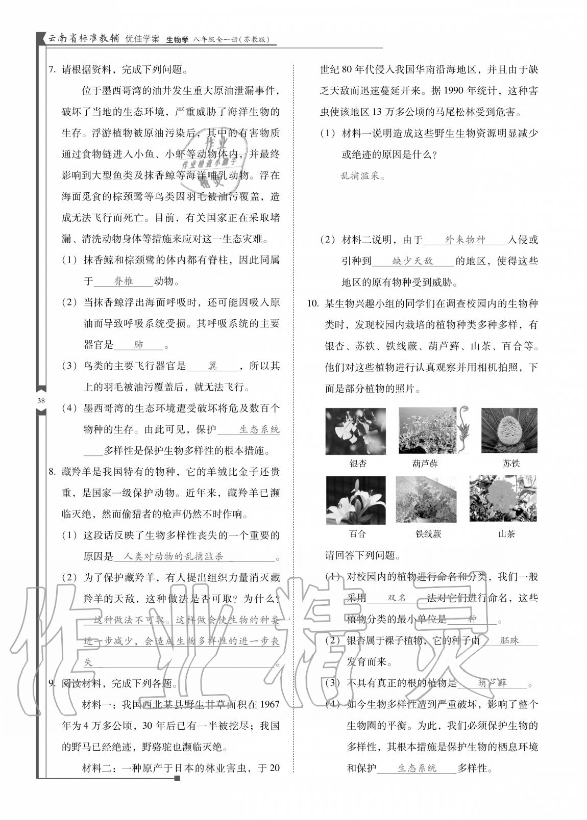 2020年云南省标准教辅优佳学案八年级生物全一册苏教版 参考答案第38页