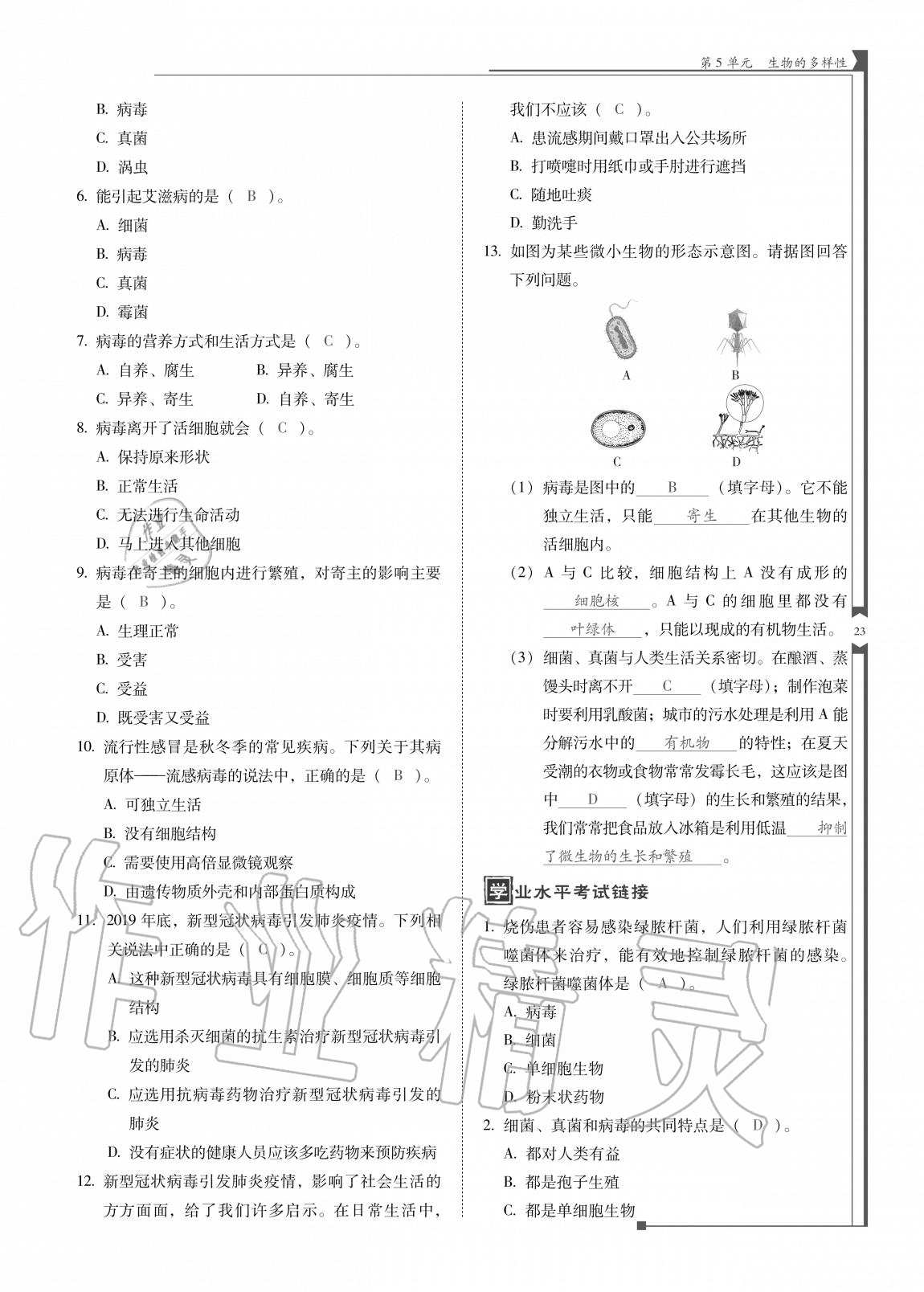 2020年云南省標(biāo)準(zhǔn)教輔優(yōu)佳學(xué)案八年級(jí)生物全一冊(cè)蘇教版 參考答案第23頁