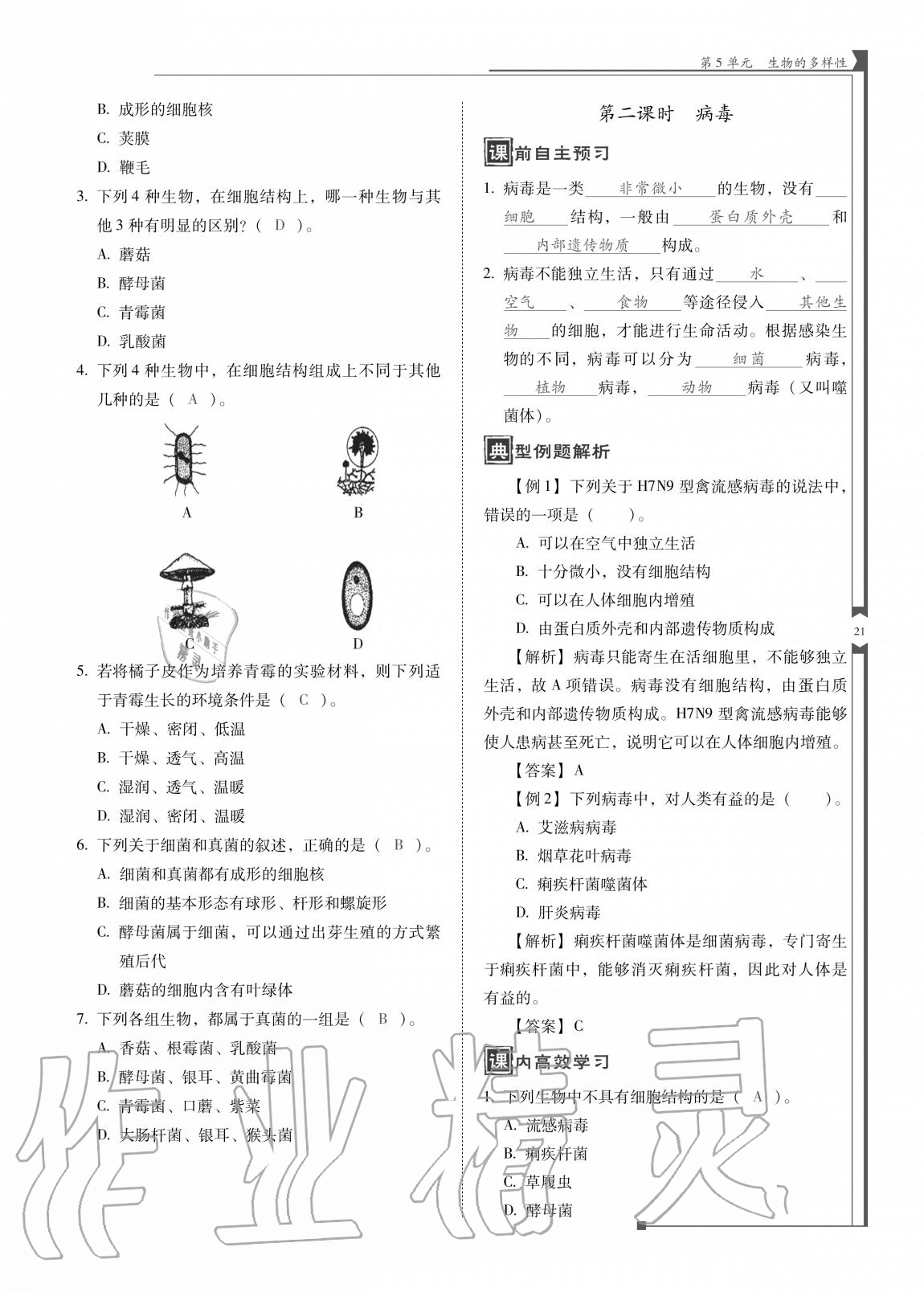 2020年云南省標準教輔優(yōu)佳學案八年級生物全一冊蘇教版 參考答案第21頁