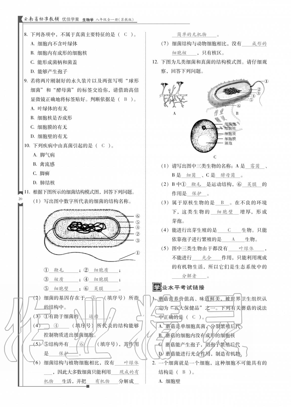 2020年云南省標(biāo)準(zhǔn)教輔優(yōu)佳學(xué)案八年級(jí)生物全一冊(cè)蘇教版 參考答案第20頁