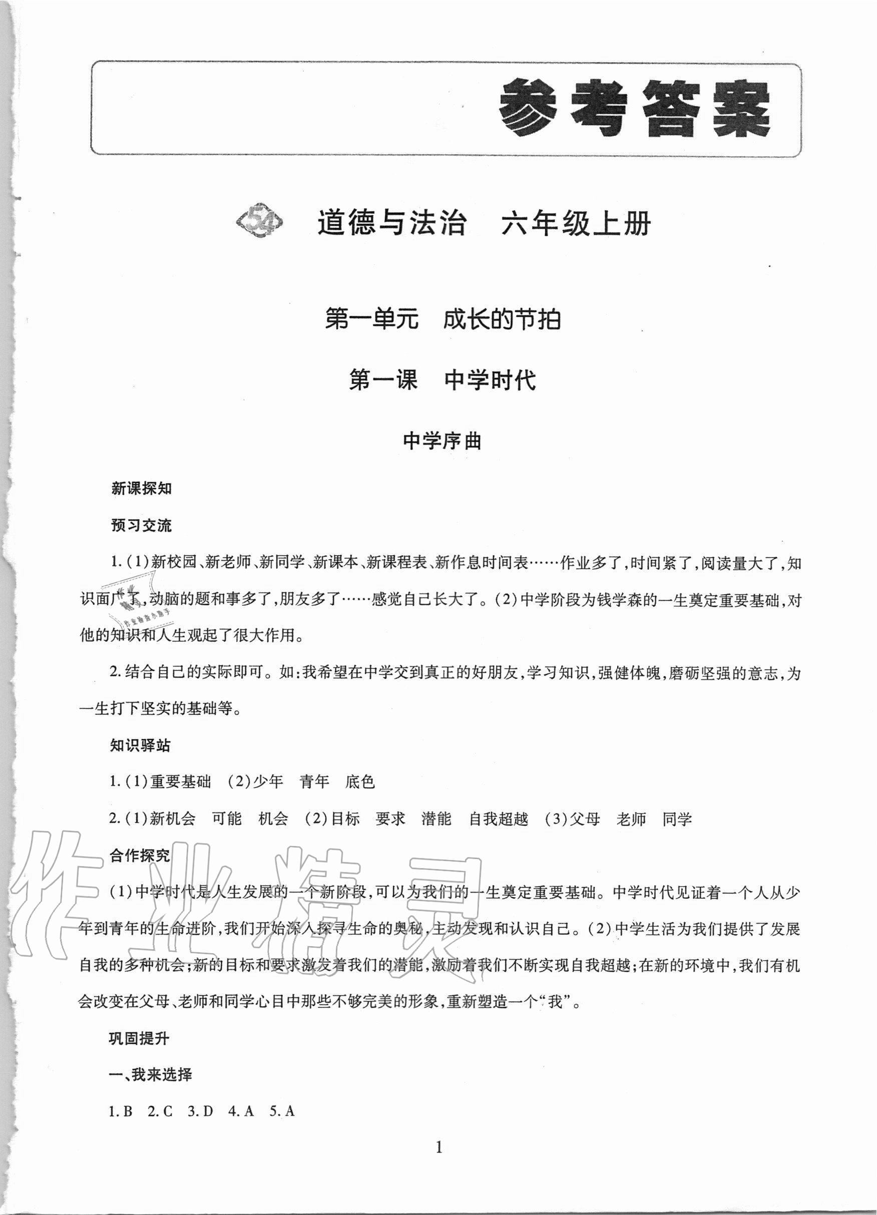 2020年智慧學(xué)習(xí)六年級(jí)道德與法治上冊(cè)人教版54制明天出版社 第1頁(yè)