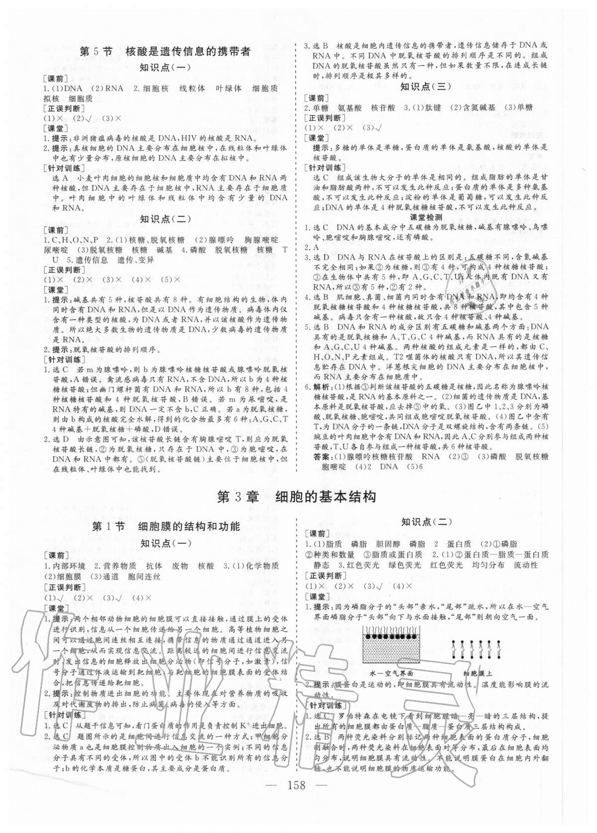 2020年三維設(shè)計(jì)生物學(xué)必修1分子與細(xì)胞 參考答案第5頁(yè)